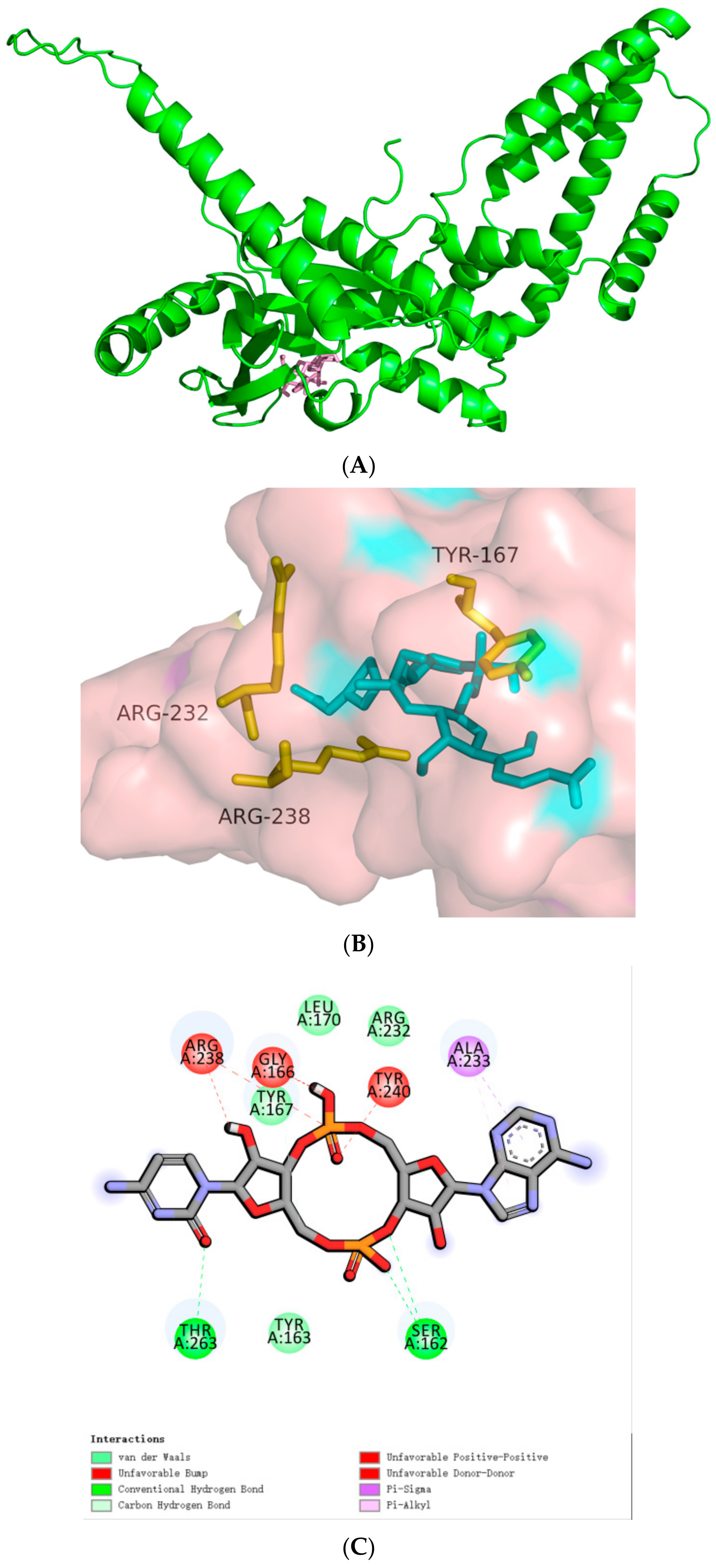 Biomolecules 14 00350 g005