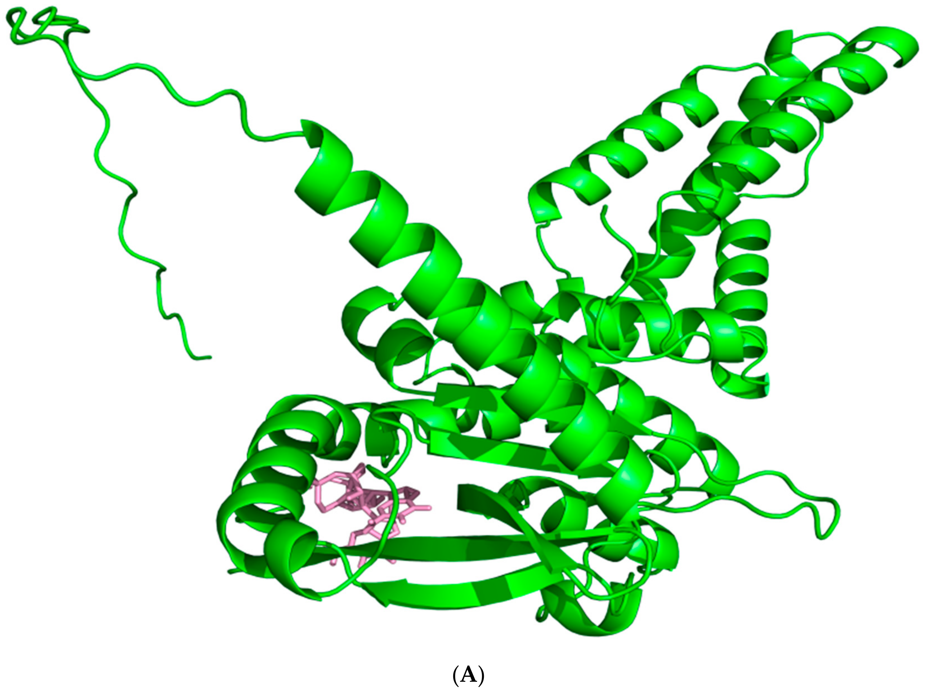 Biomolecules 14 00350 g006a
