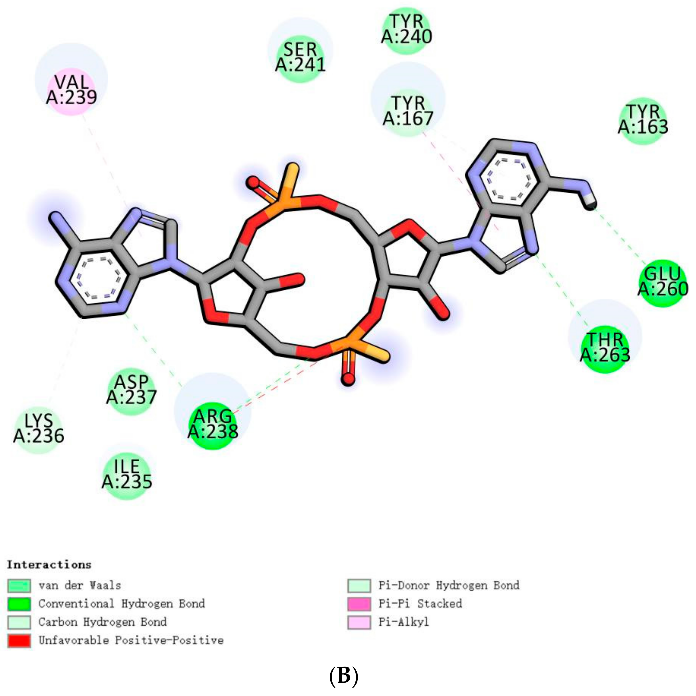 Biomolecules 14 00350 g007b