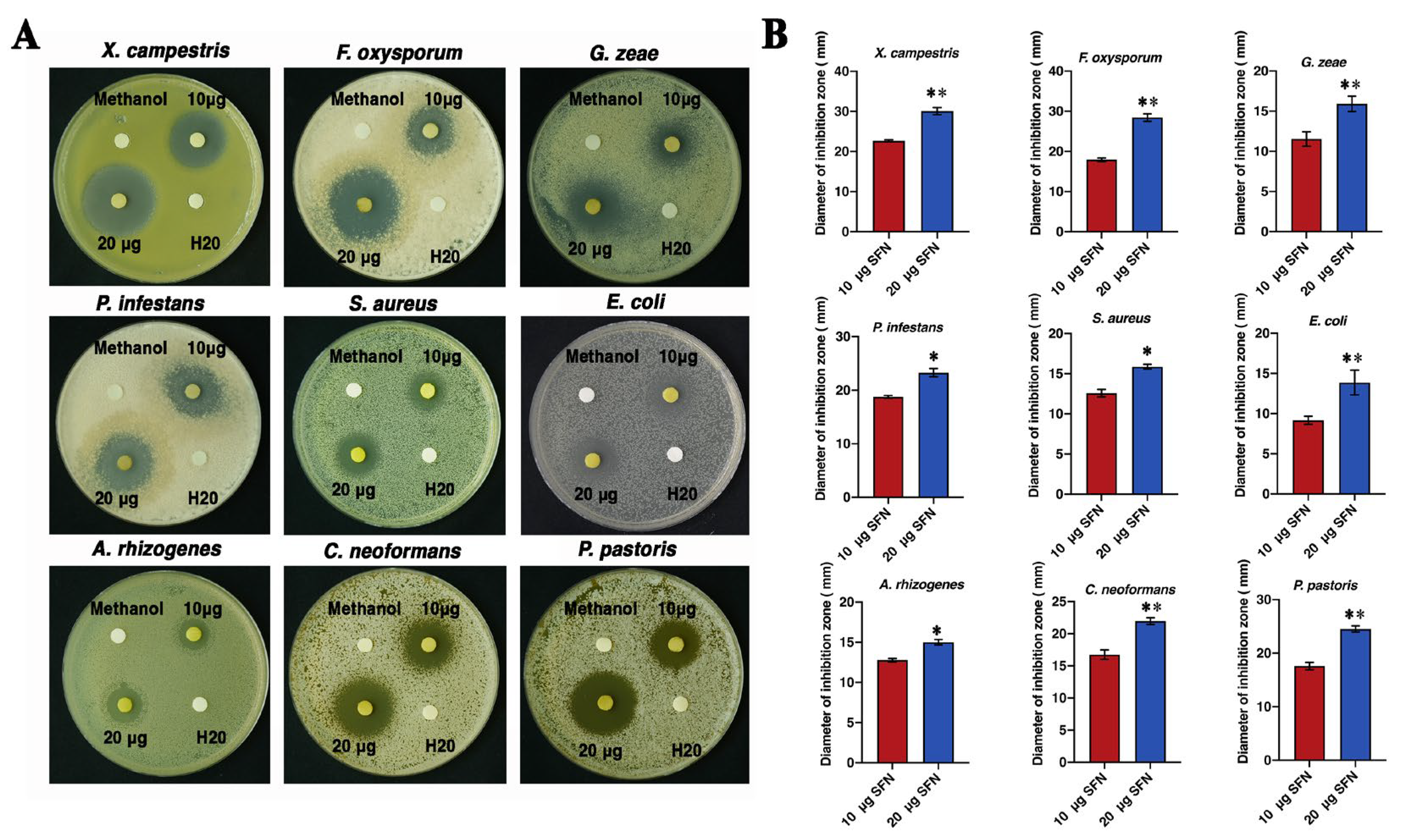 Biomolecules 14 00352 g004