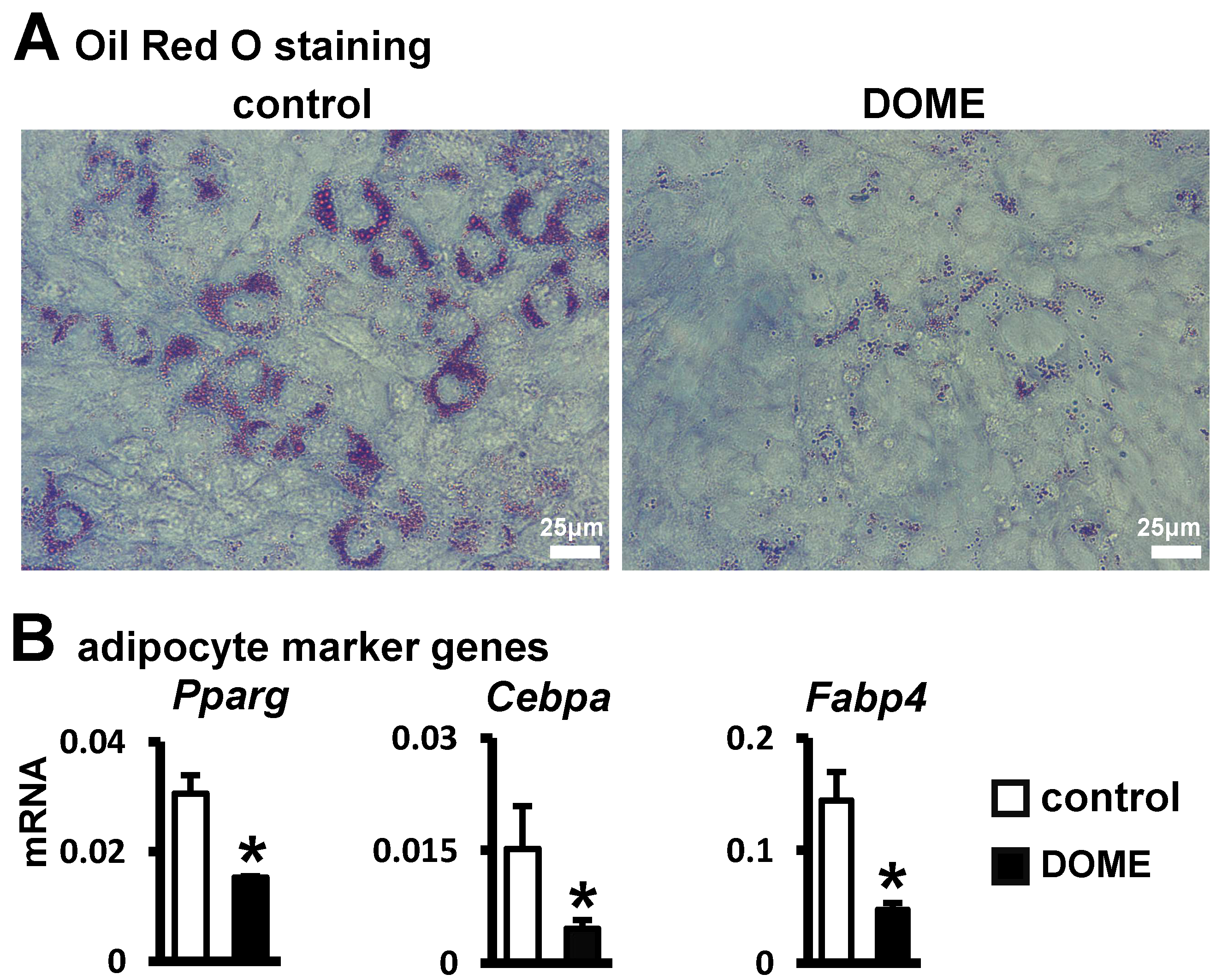 Biomolecules 14 00354 g003