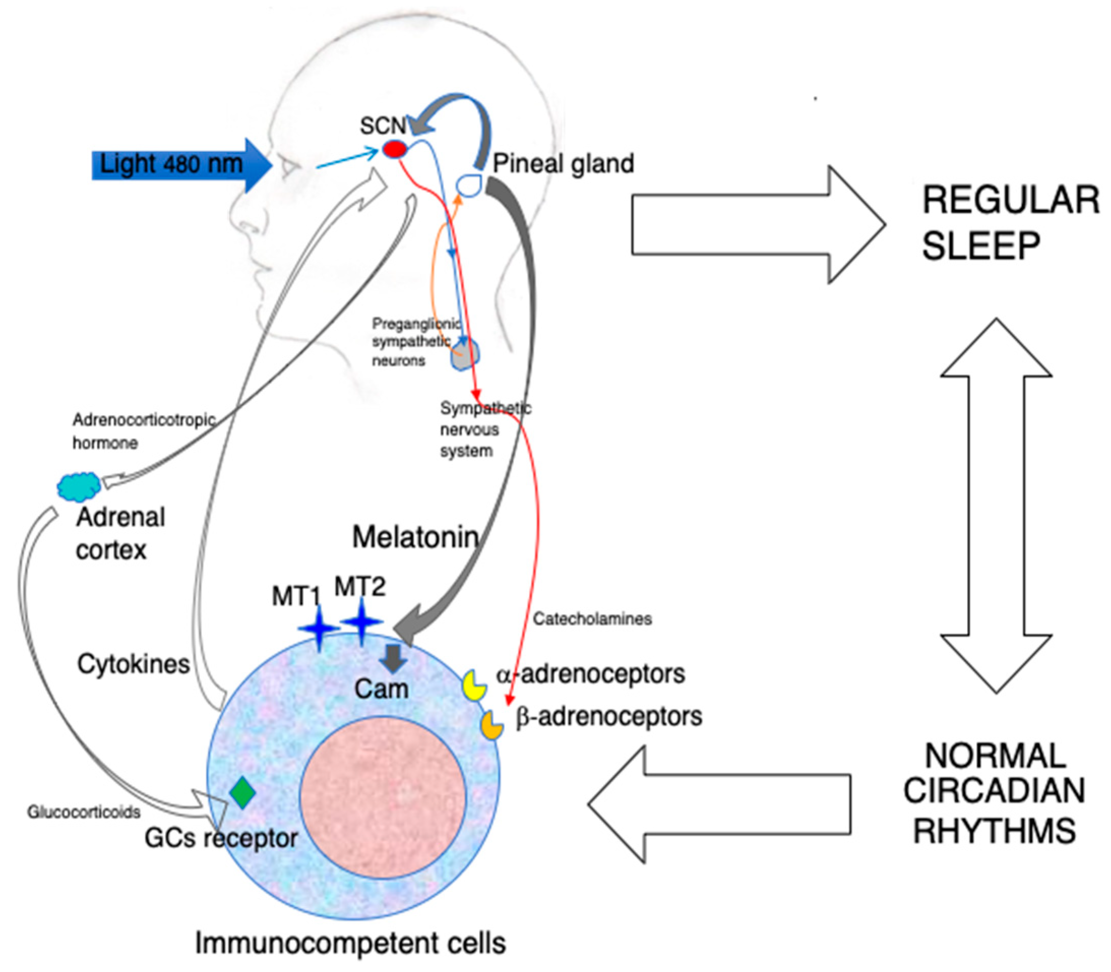 Biomolecules 14 00356 g001