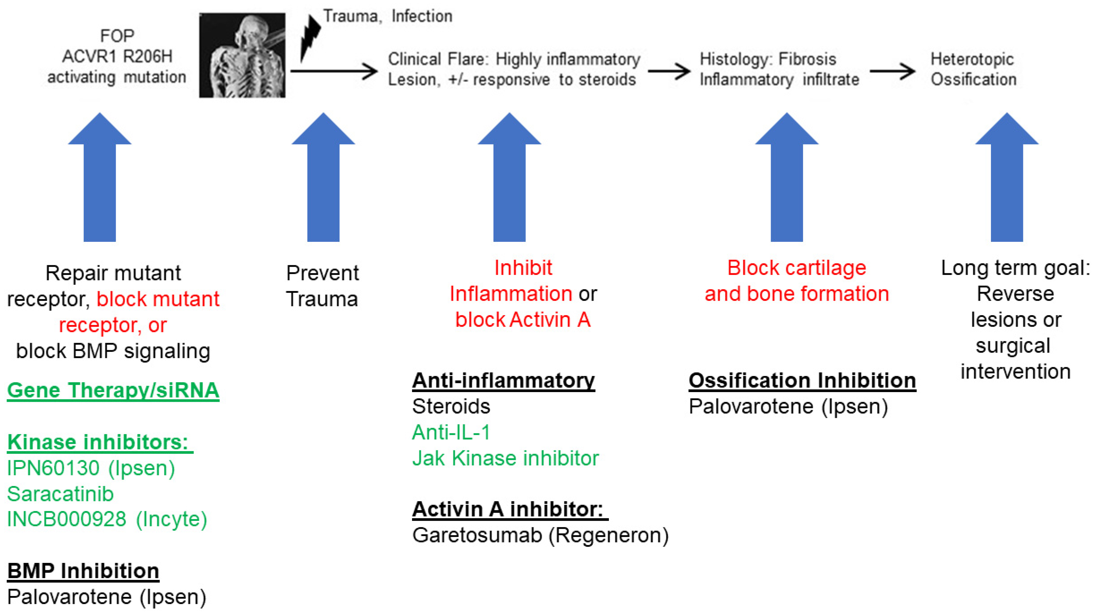 Biomolecules 14 00357 g002
