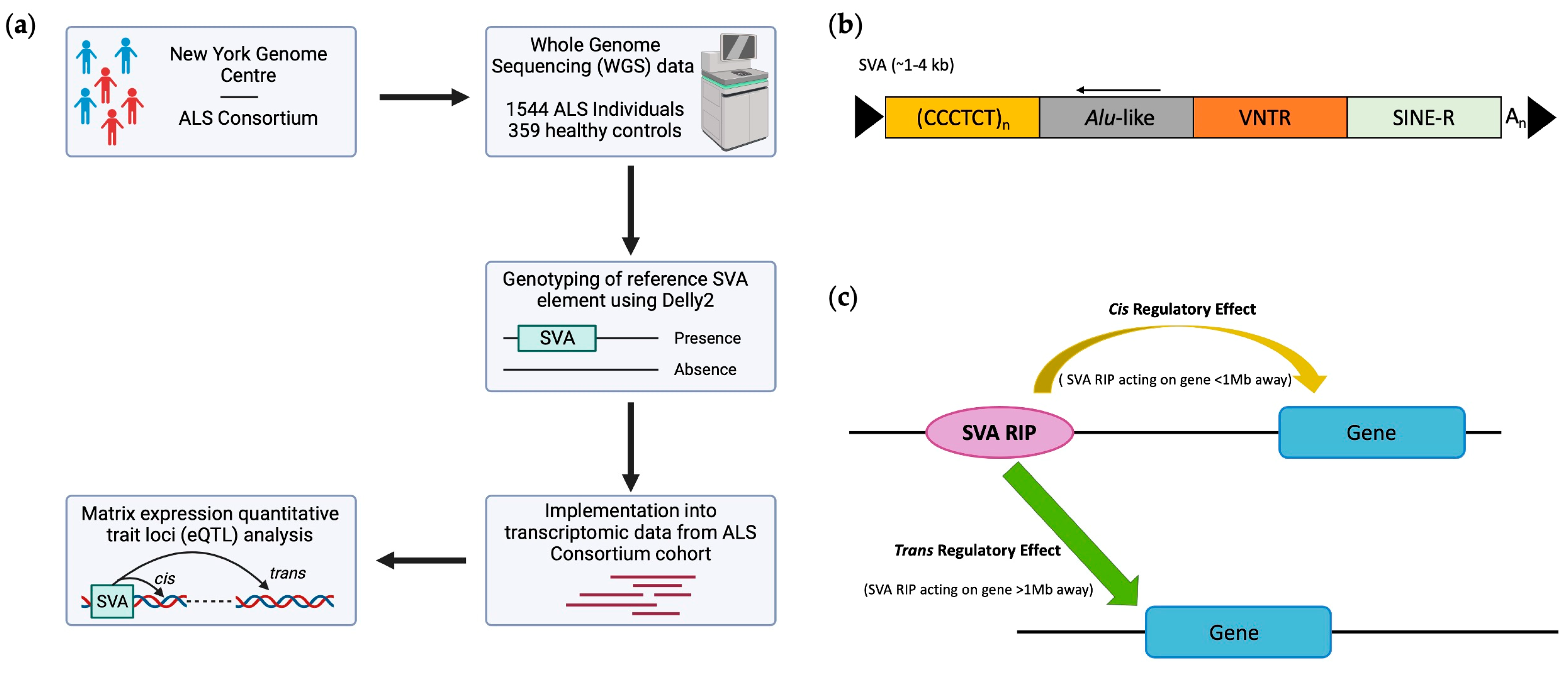 Biomolecules 14 00358 g001 Biomolecules 14 00358 g001