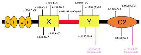Biomolecules 14 00359 g006