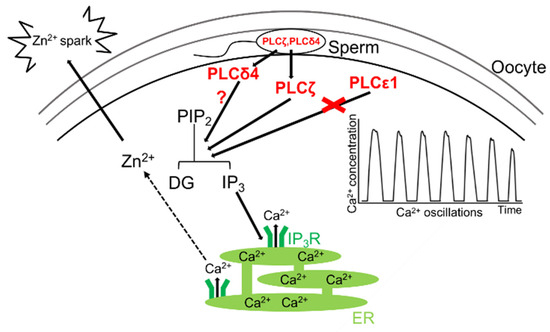 Biomolecules 14 00359 g007