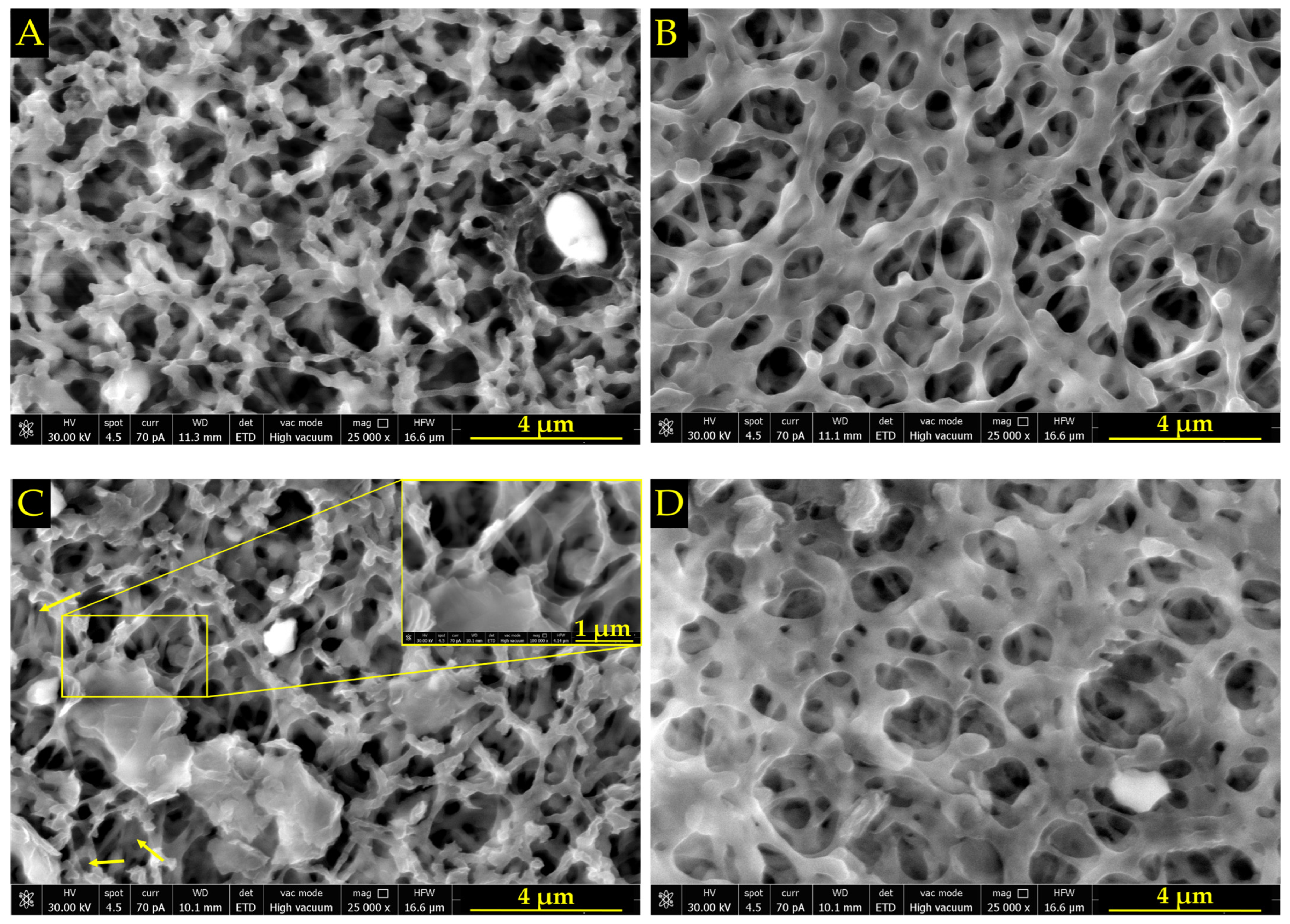 Biomolecules 14 00366 g002