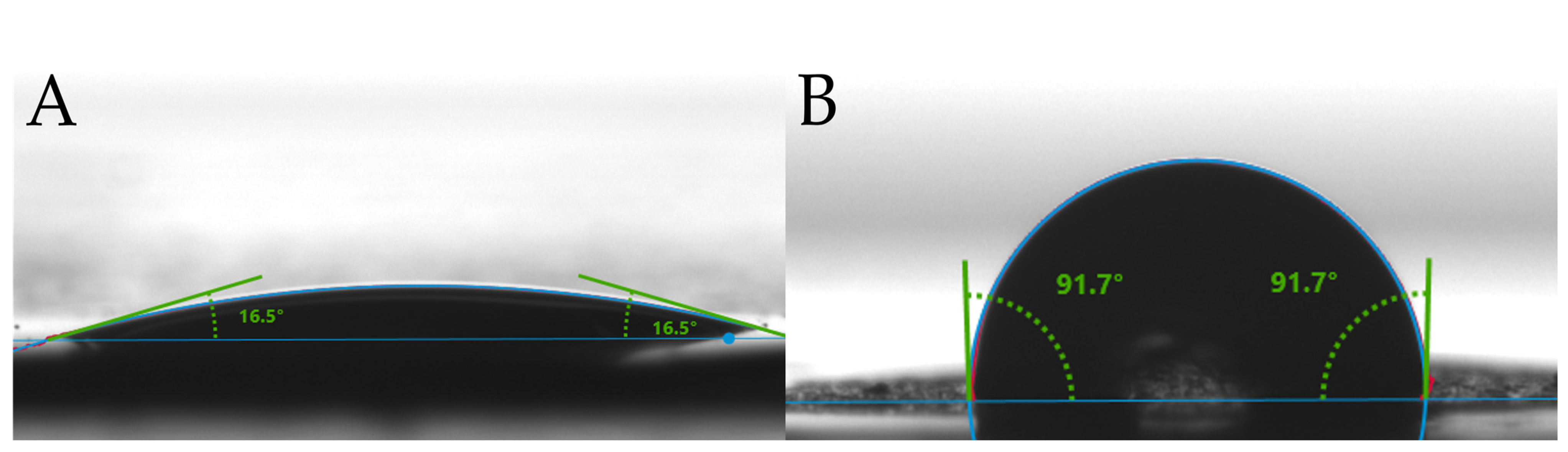 Biomolecules 14 00366 g003