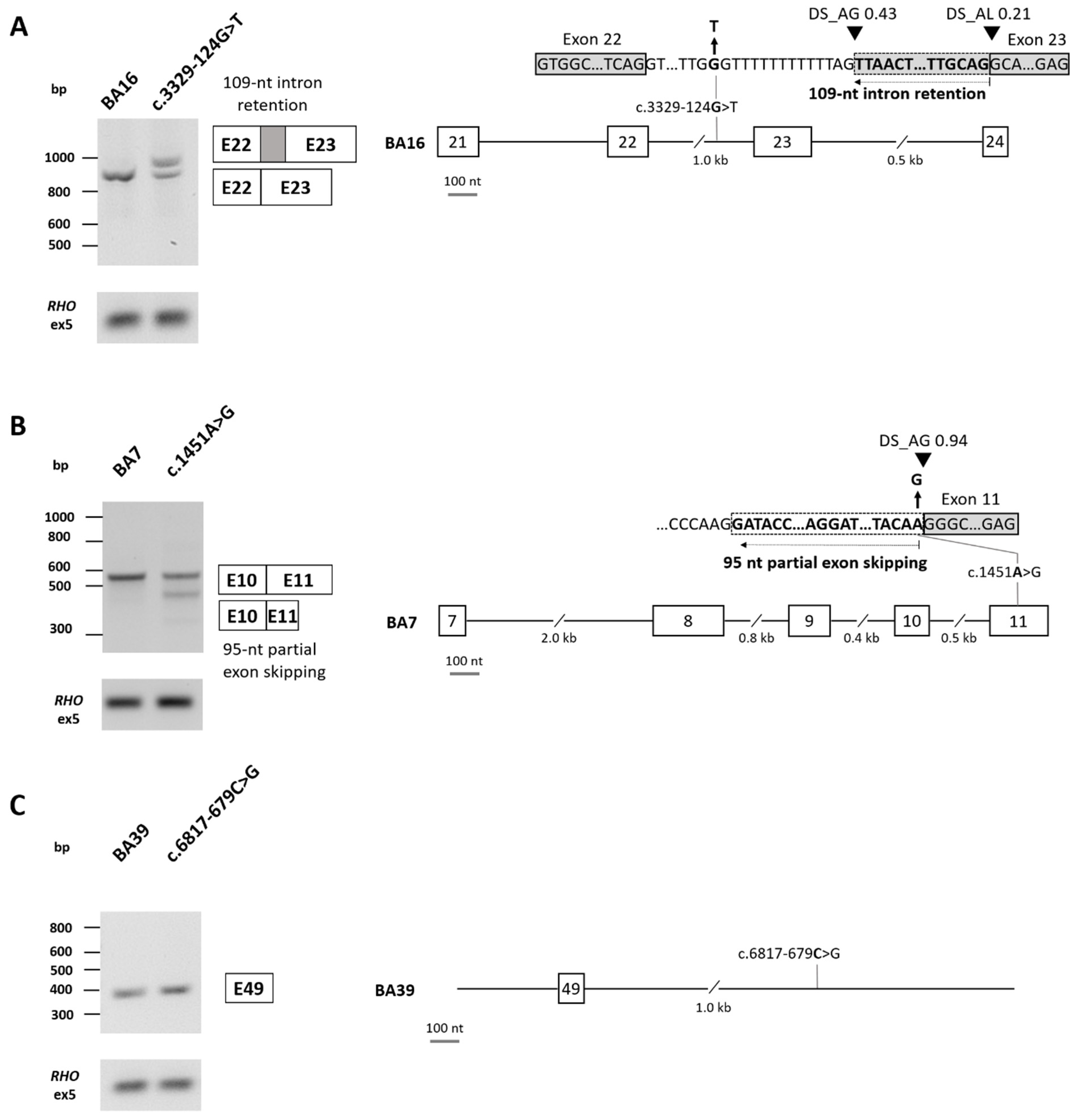 Biomolecules 14 00367 g003 Biomolecules 14 00367 g003