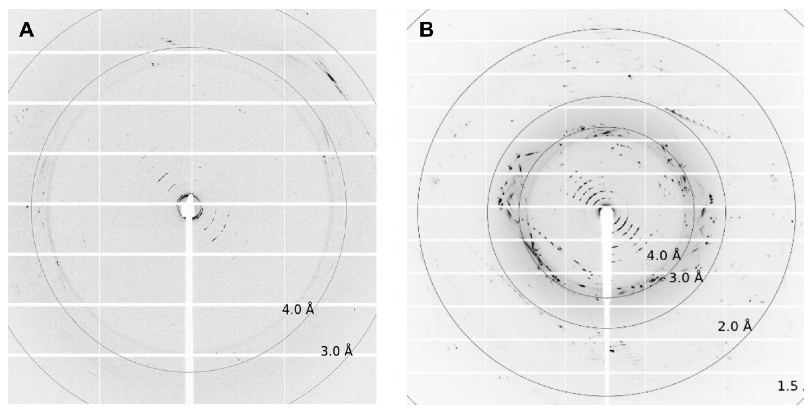 Biomolecules 14 00375 g006