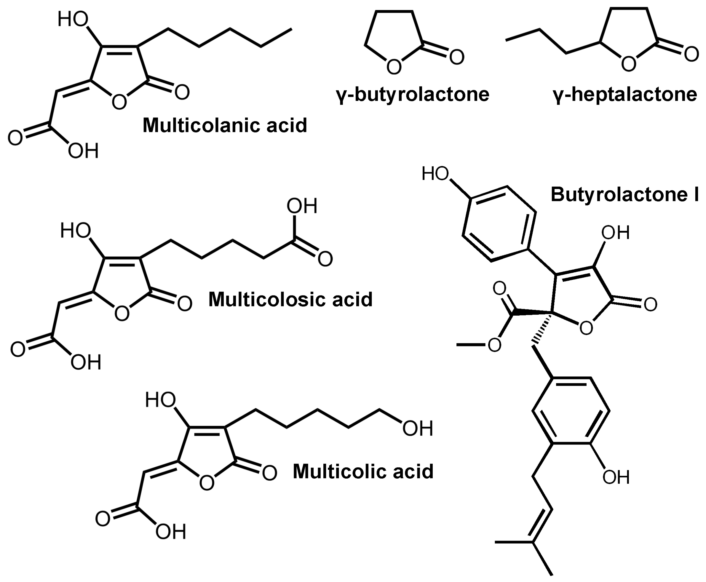 Biomolecules 14 00383 g001