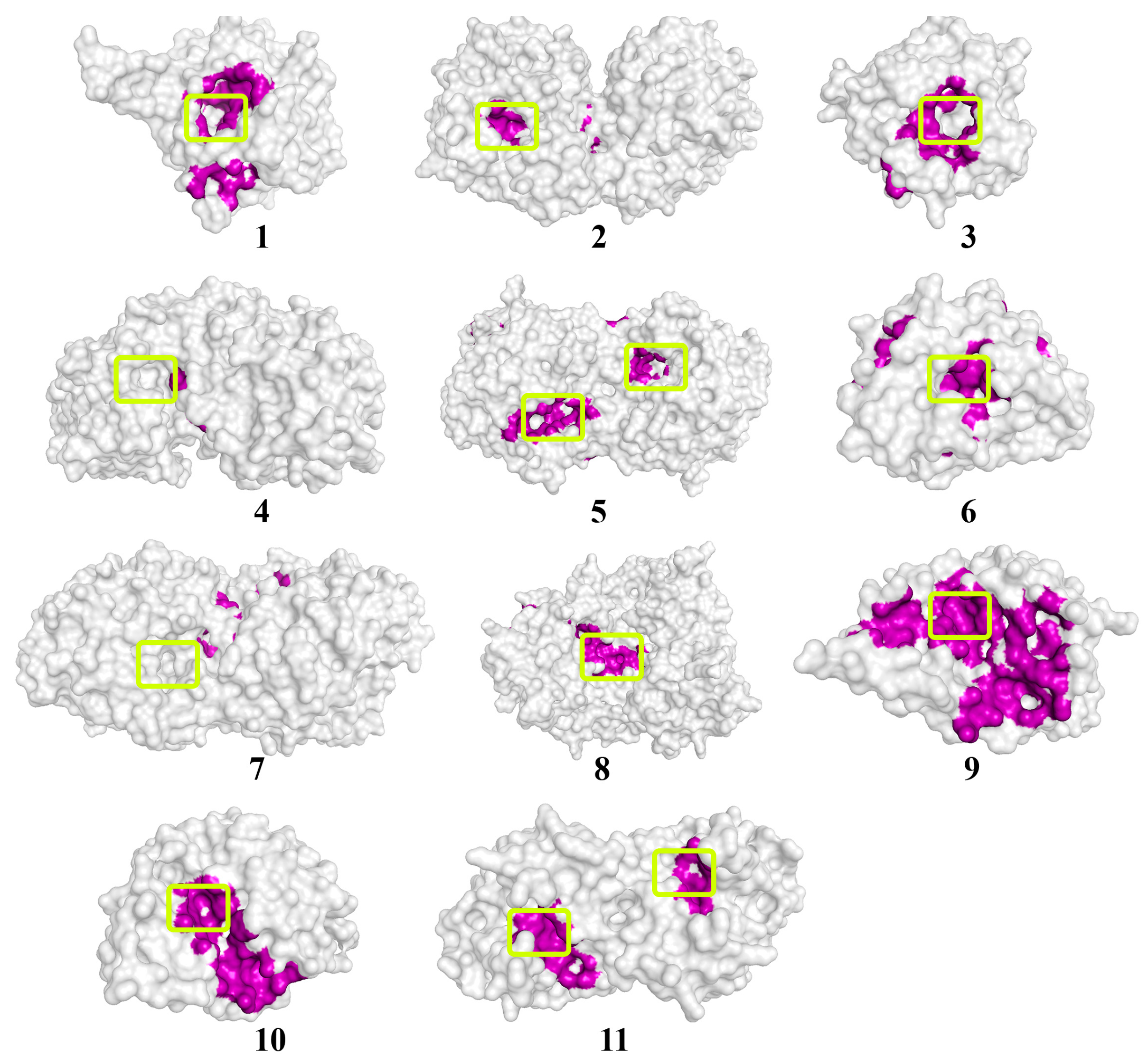 Biomolecules 14 00383 g005