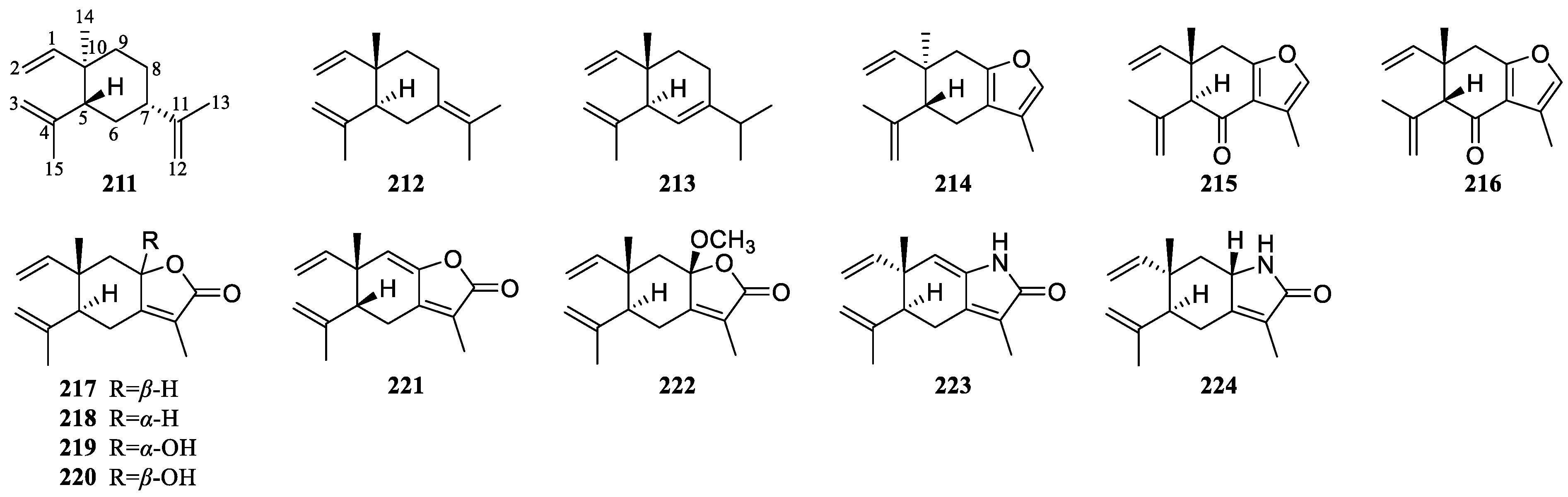 Biomolecules 14 00387 g004