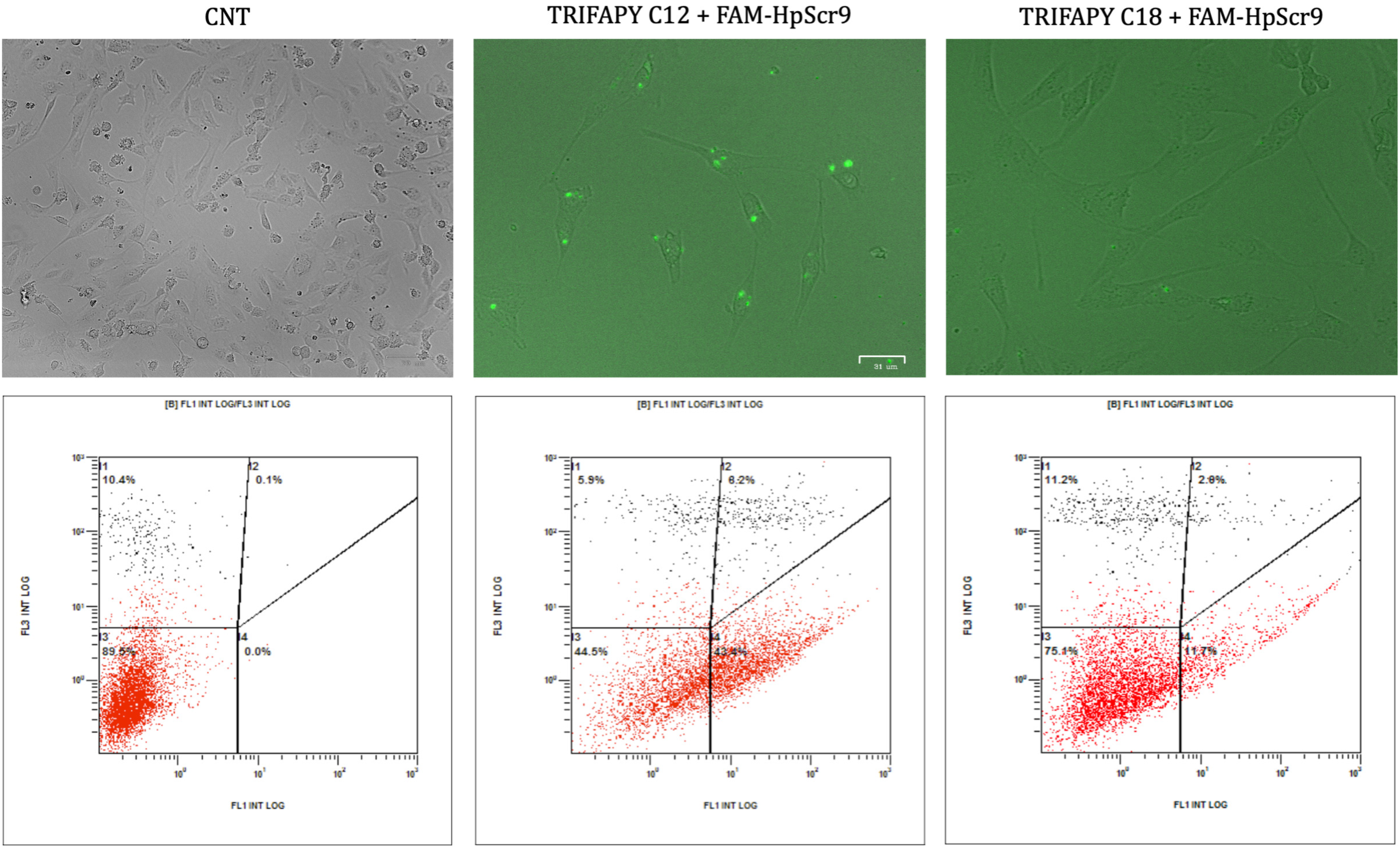 Biomolecules 14 00390 g006