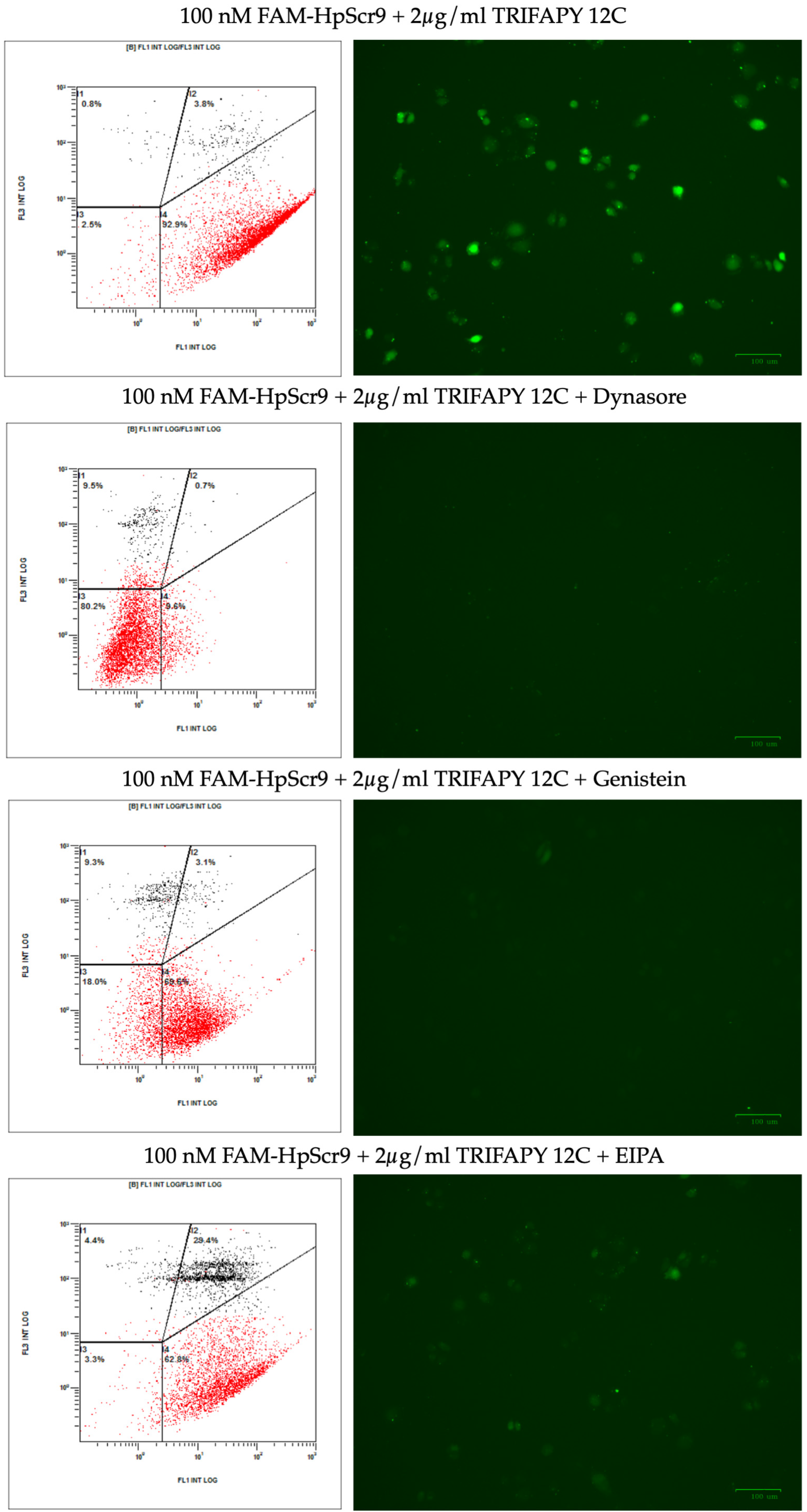 Biomolecules 14 00390 g007