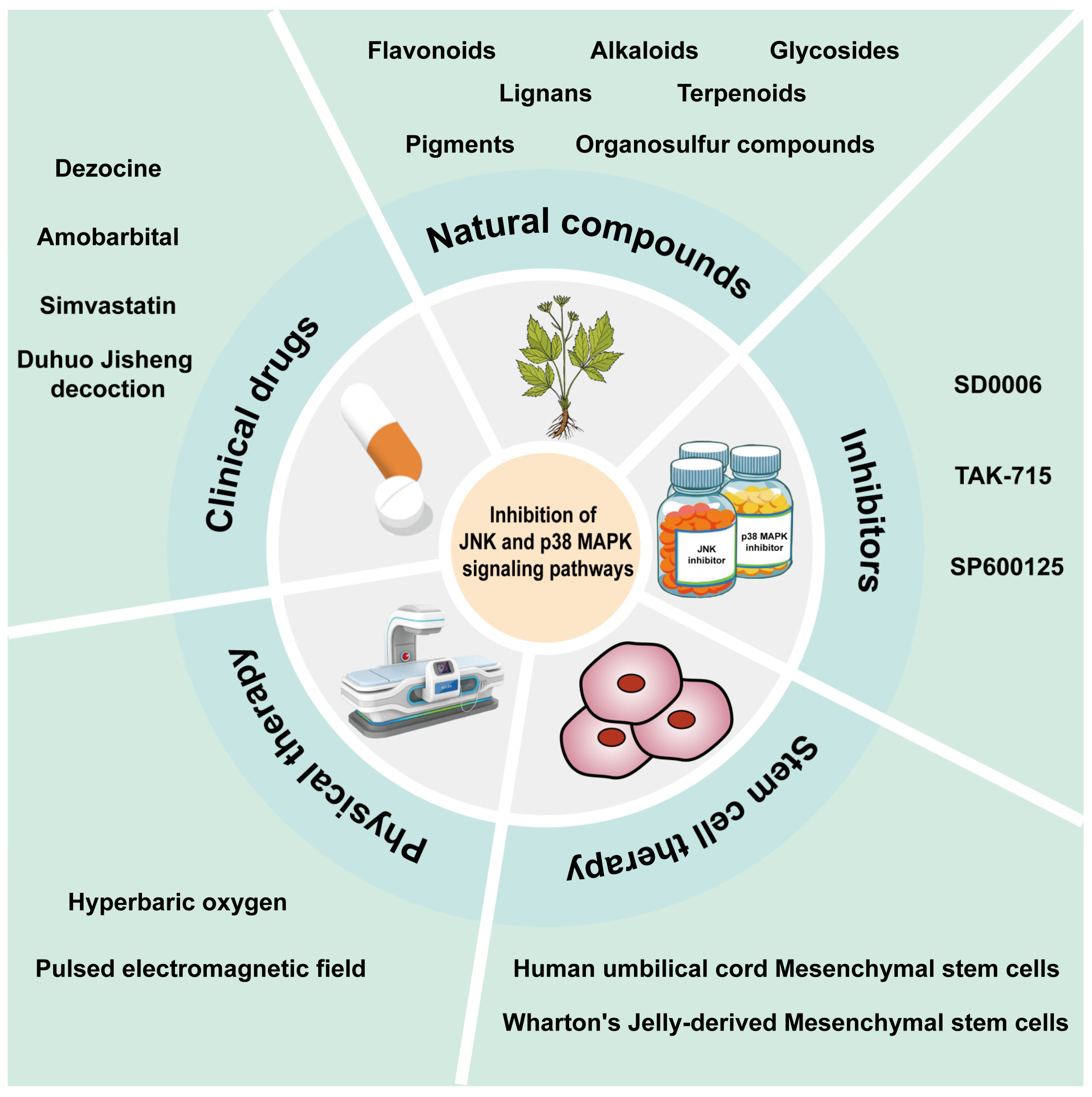 Biomolecules 14 00393 g004