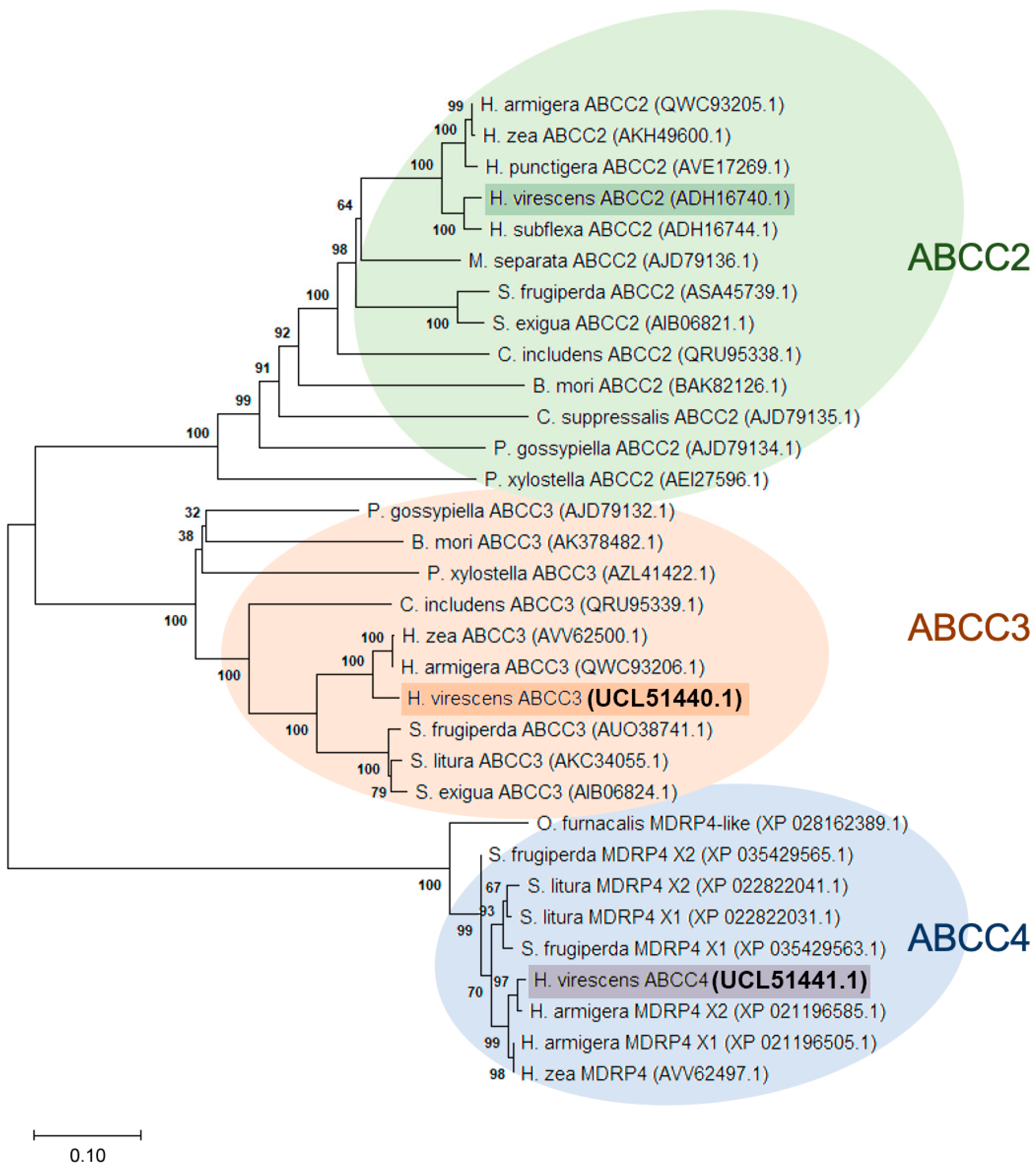 Biomolecules 14 00397 g001