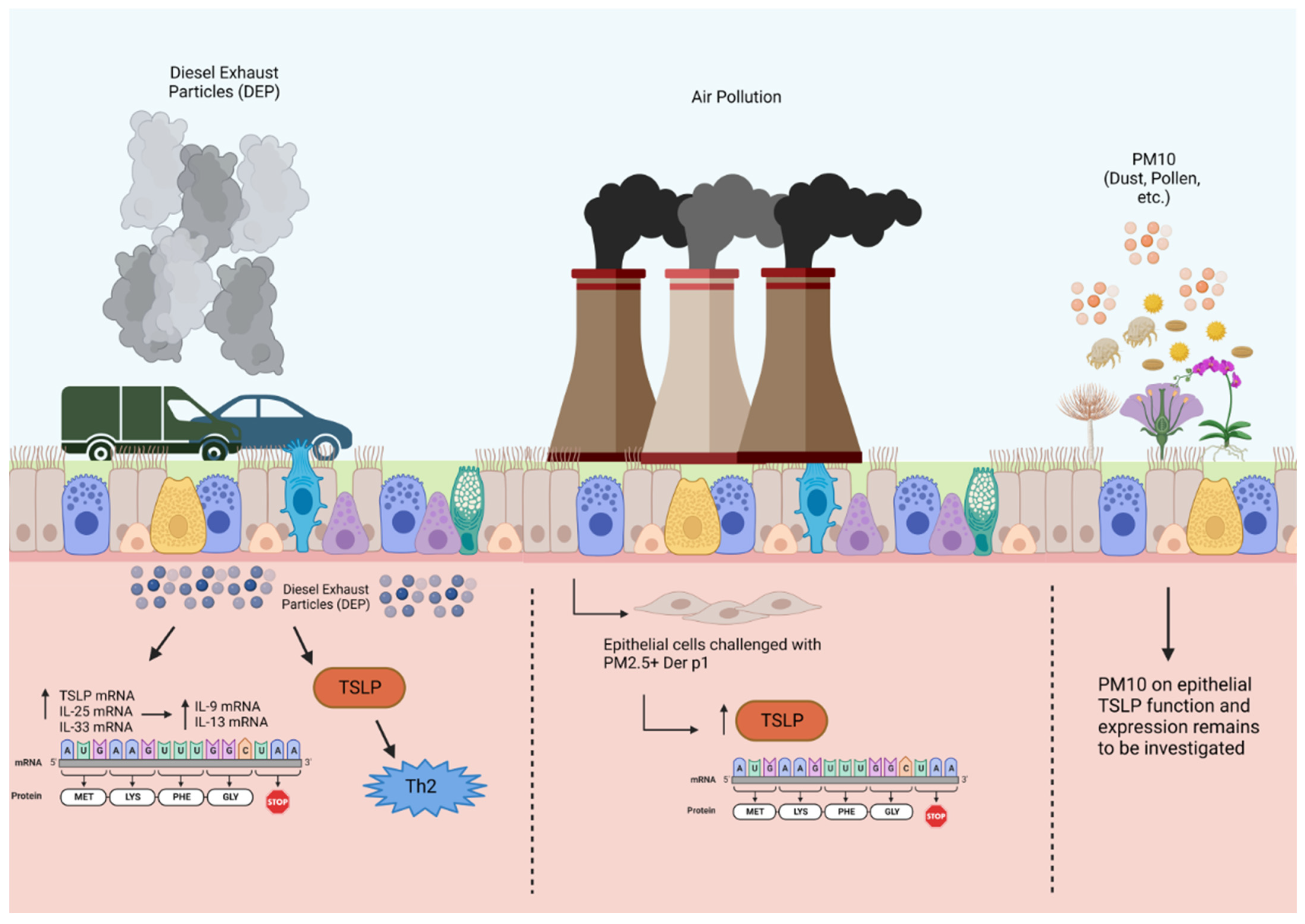 Biomolecules 14 00401 g002