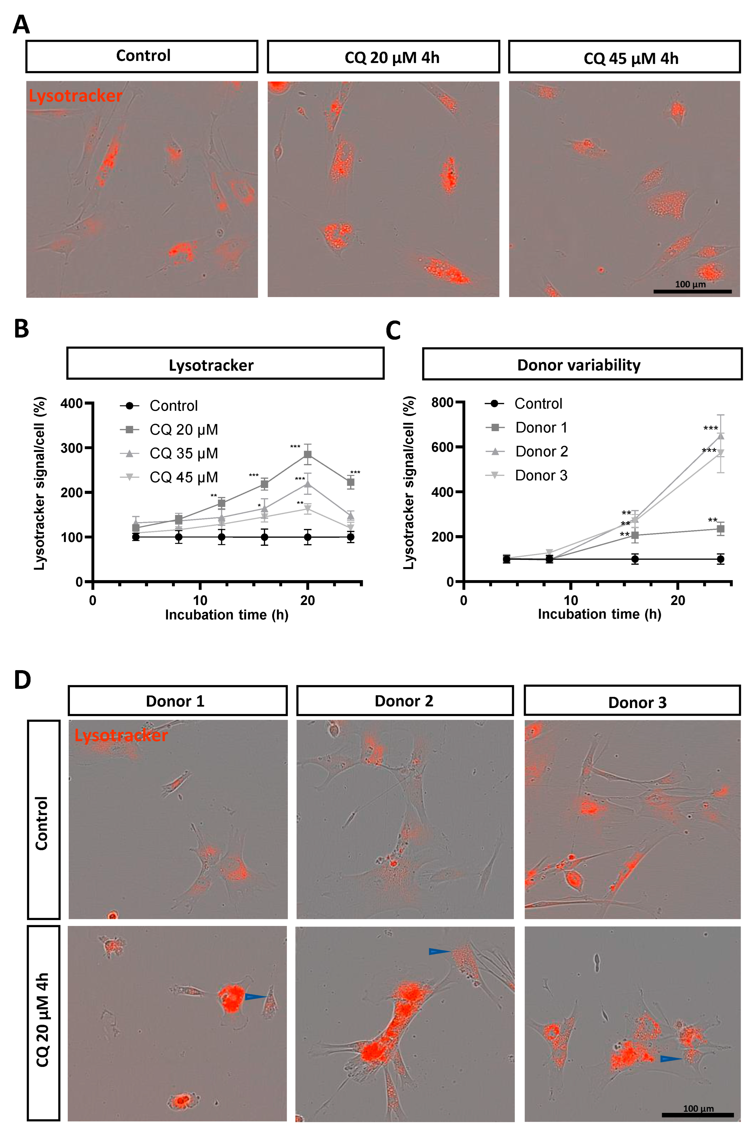 Biomolecules 14 00405 g002 Biomolecules 14 00405 g002
