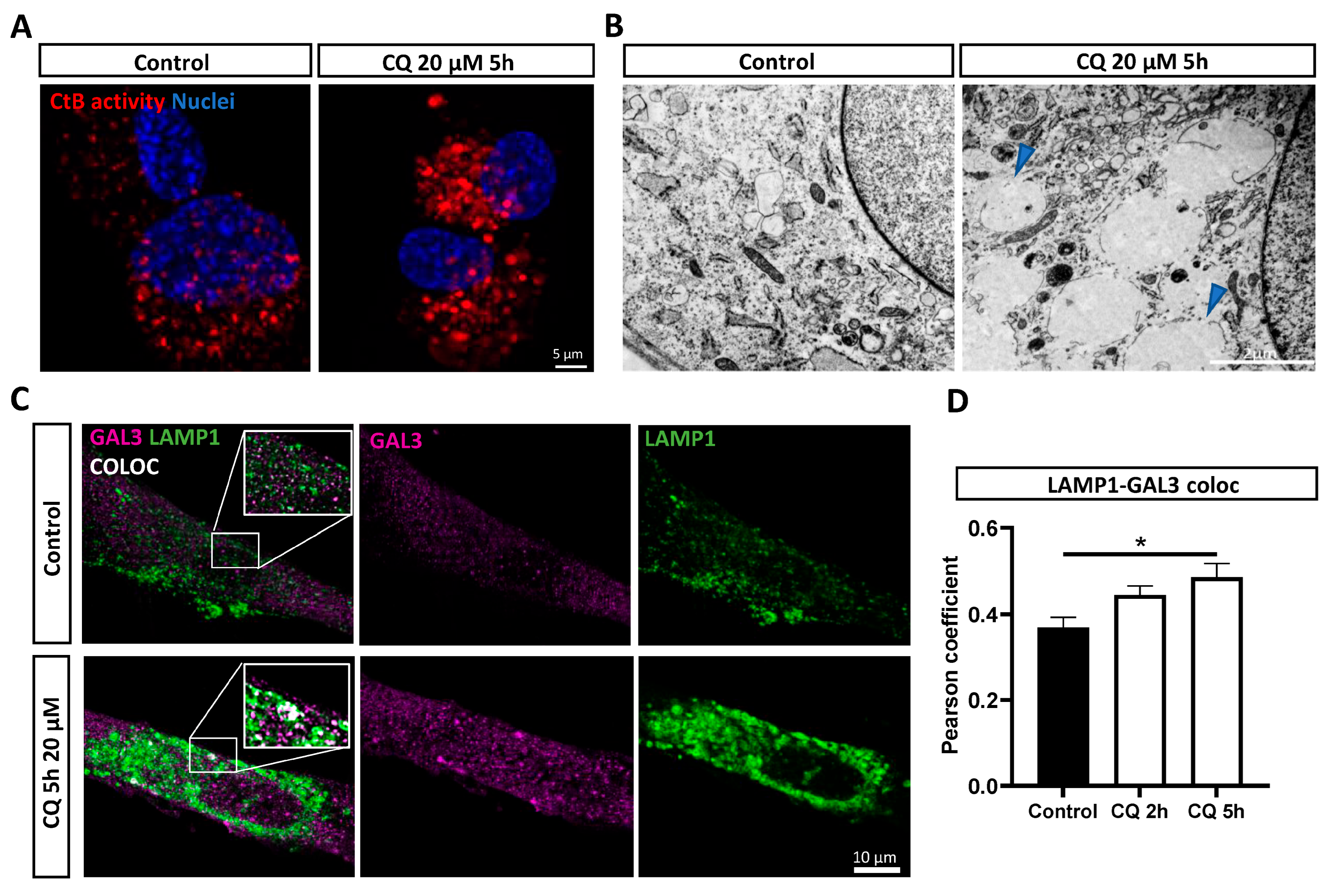 Biomolecules 14 00405 g003 Biomolecules 14 00405 g003