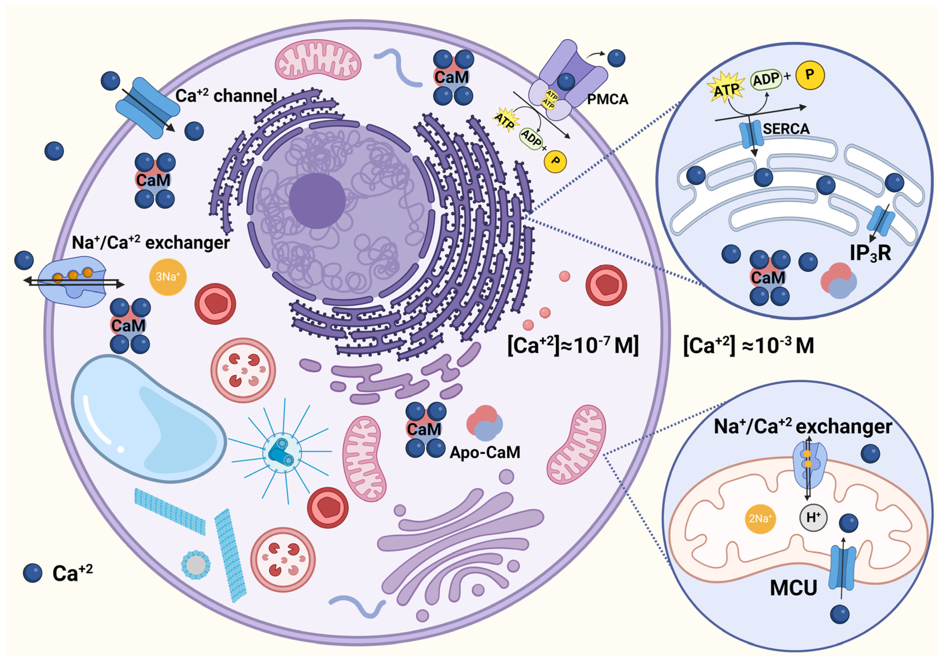 Biomolecules 14 00406 g001 Biomolecules 14 00406 g001