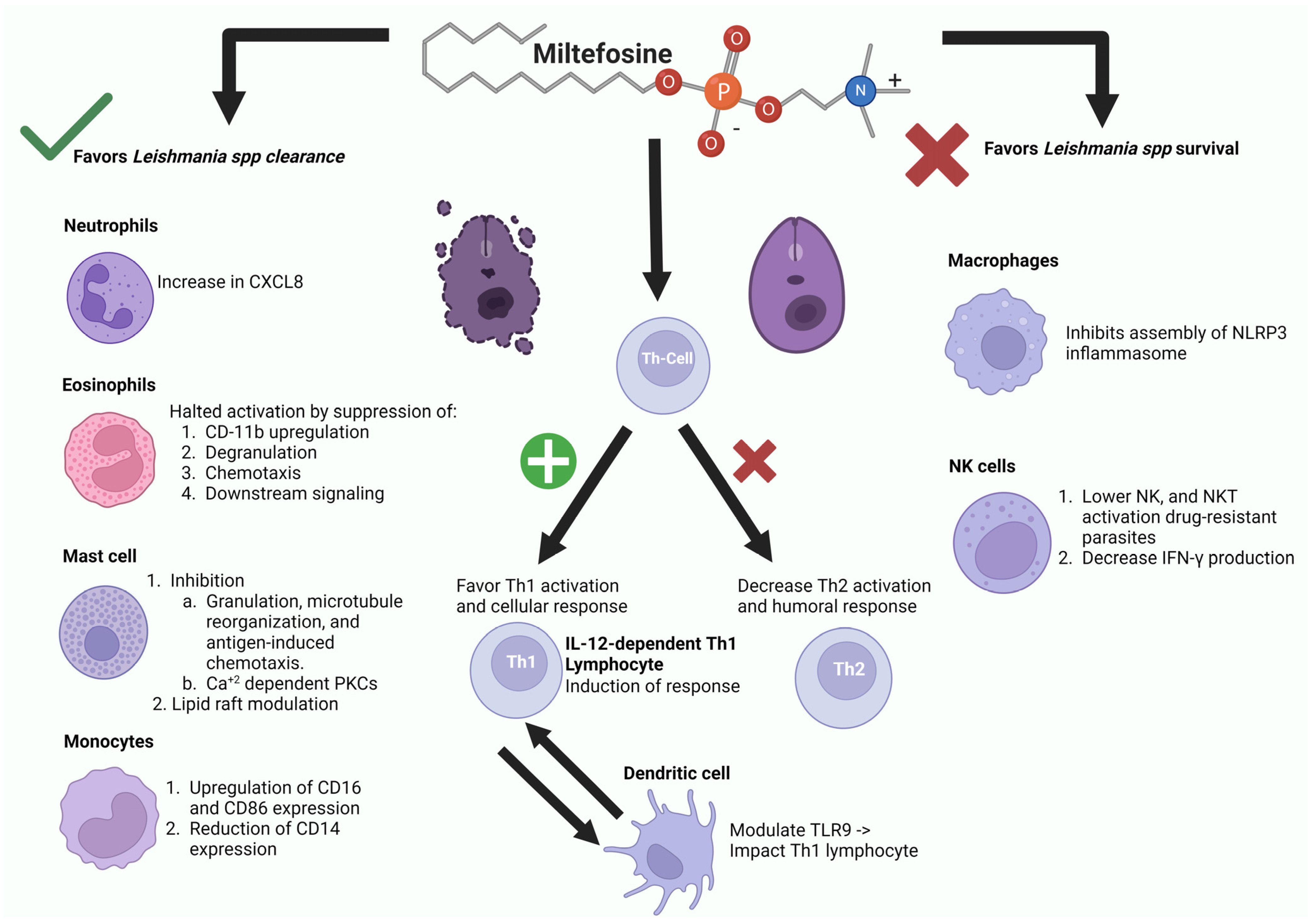 Biomolecules 14 00406 g006 Biomolecules 14 00406 g006