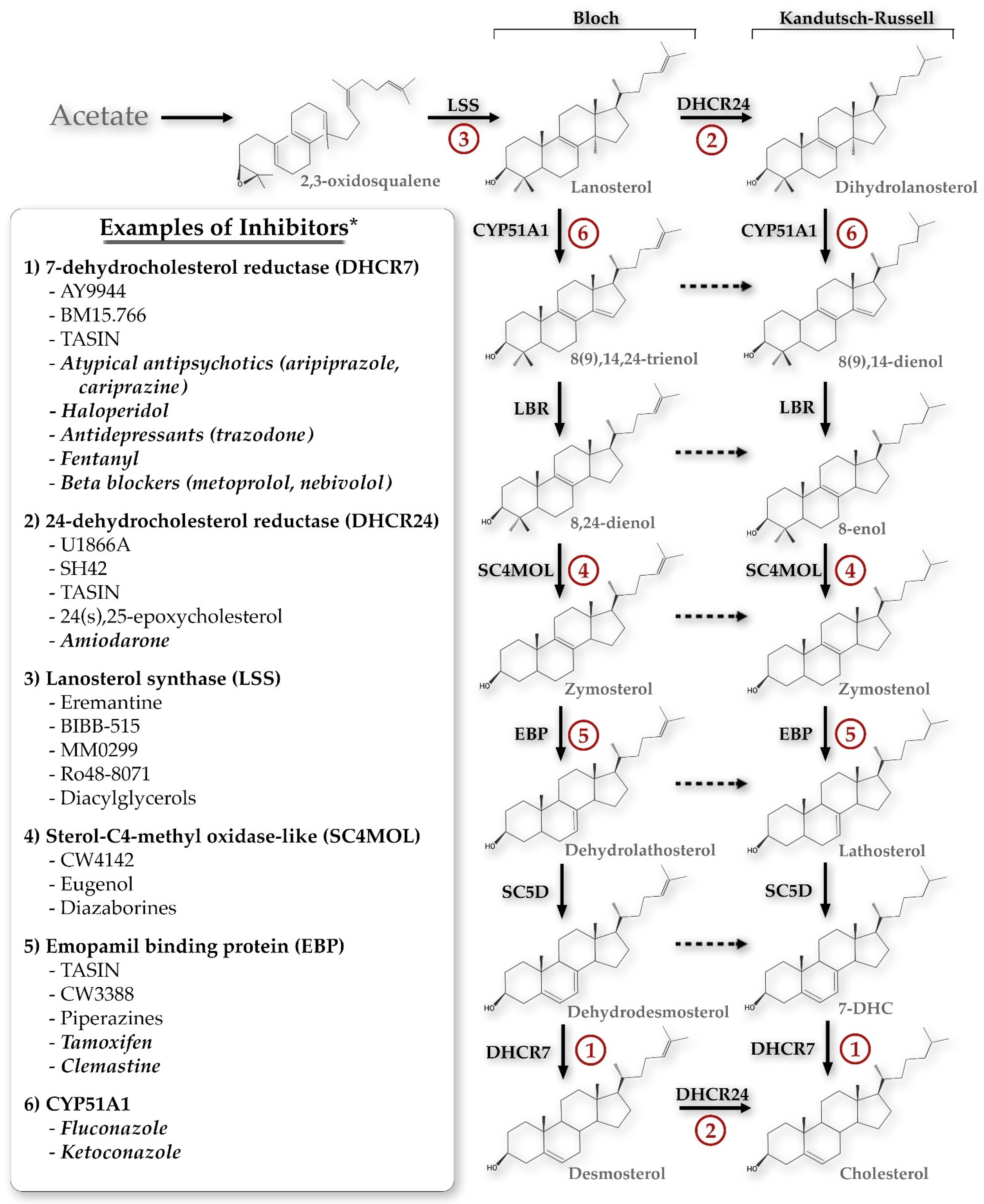 Biomolecules 14 00410 g001