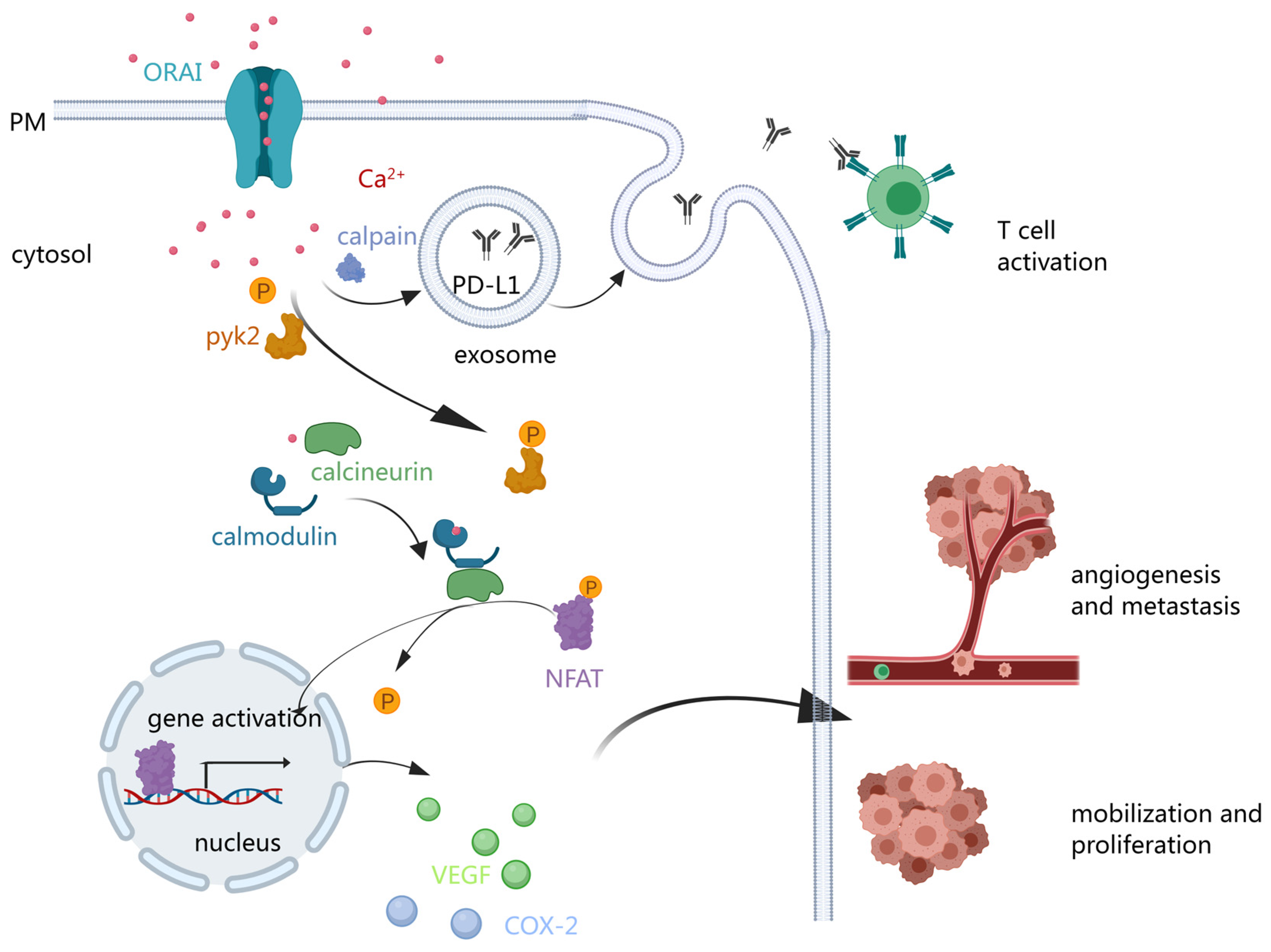 Biomolecules 14 00417 g003
