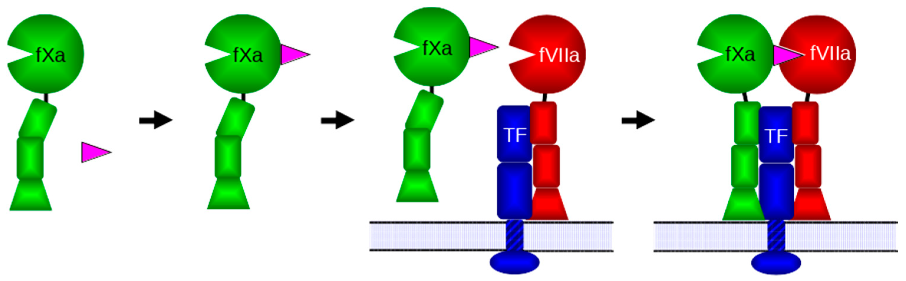 Biomolecules 14 00421 g001 Biomolecules 14 00421 g001