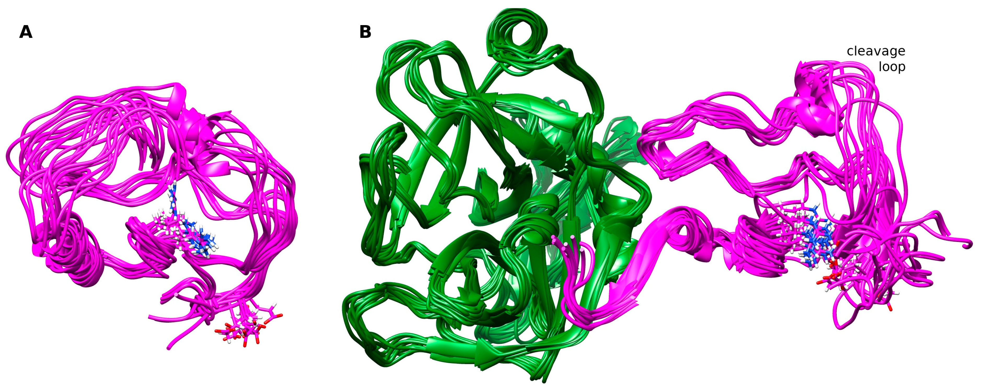 Biomolecules 14 00421 g007 Biomolecules 14 00421 g007