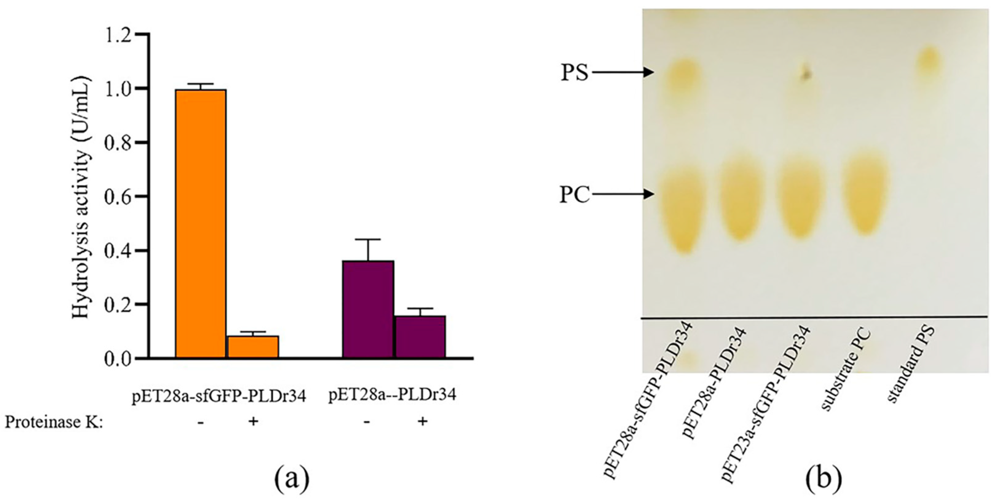Biomolecules 14 00430 g002 Biomolecules 14 00430 g002