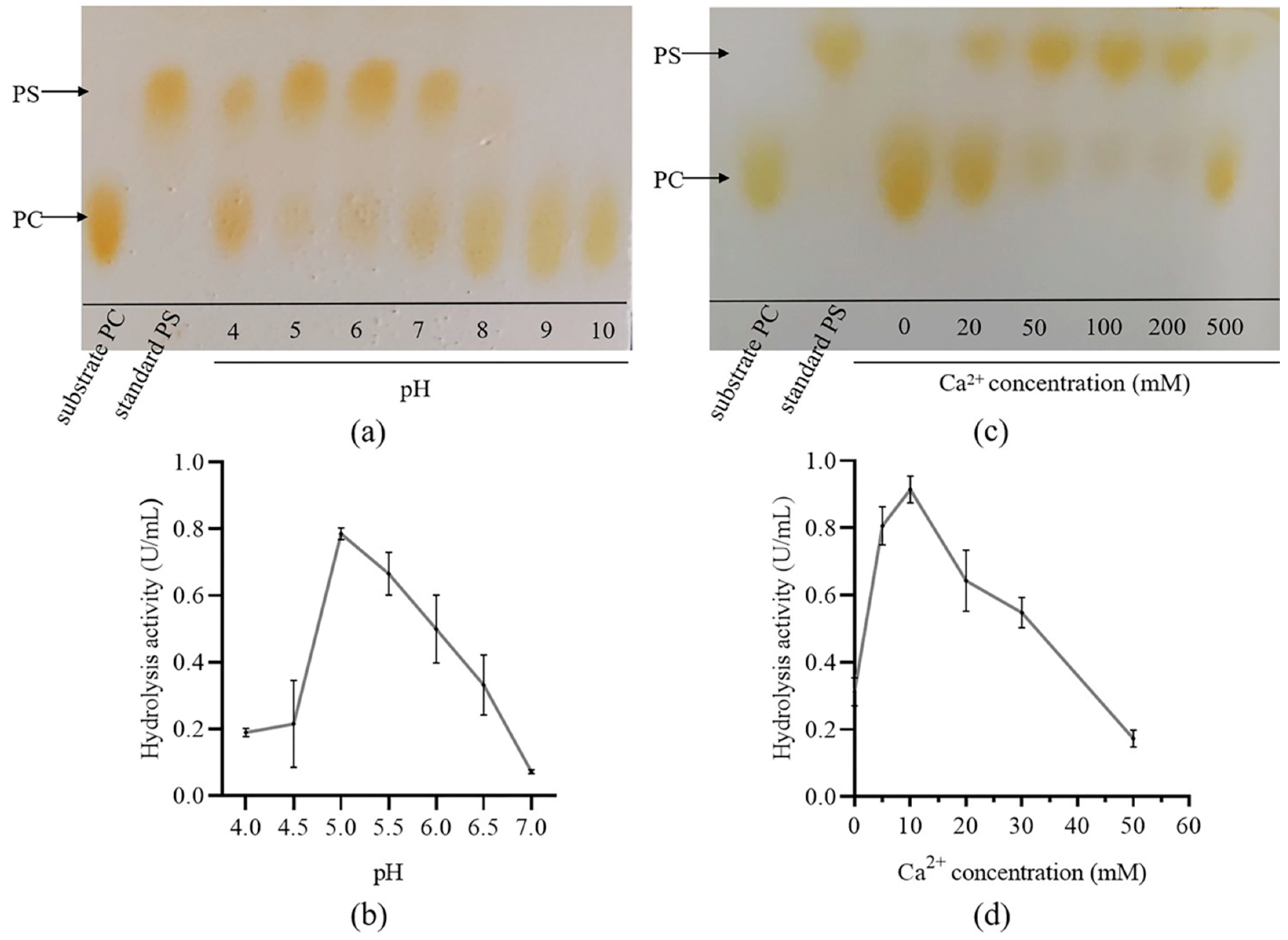 Biomolecules 14 00430 g004 Biomolecules 14 00430 g004