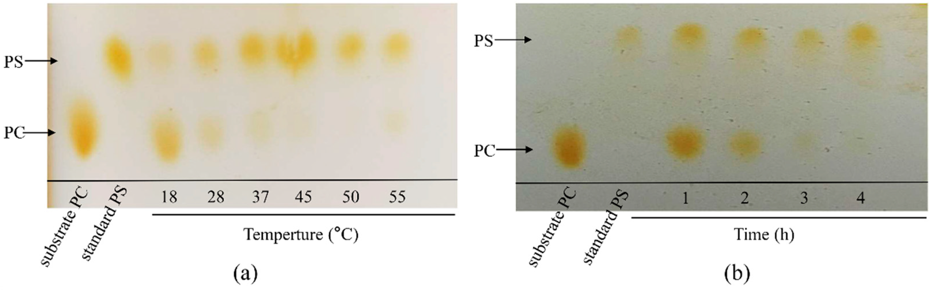Biomolecules 14 00430 g005 Biomolecules 14 00430 g005