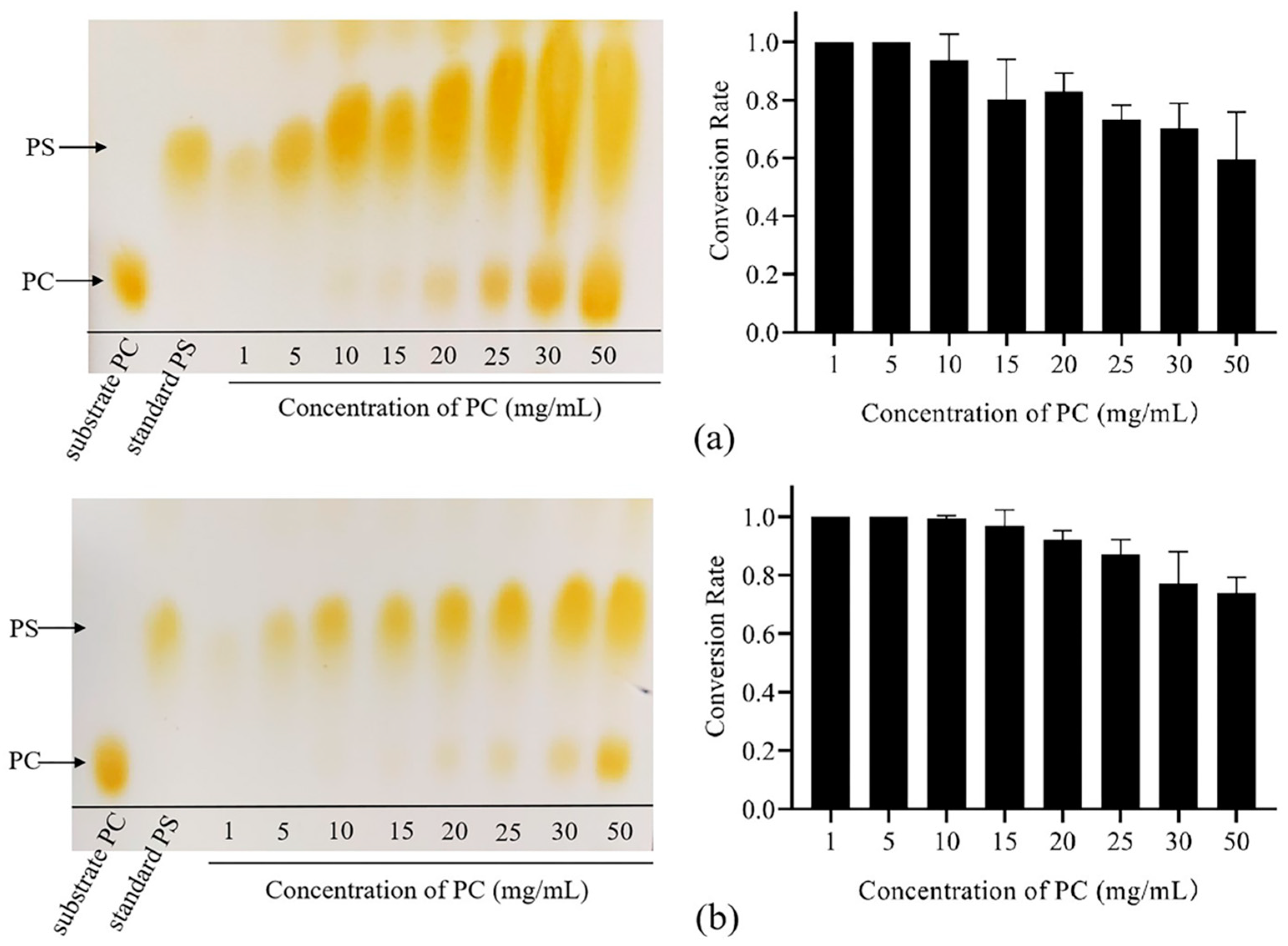 Biomolecules 14 00430 g006 Biomolecules 14 00430 g006