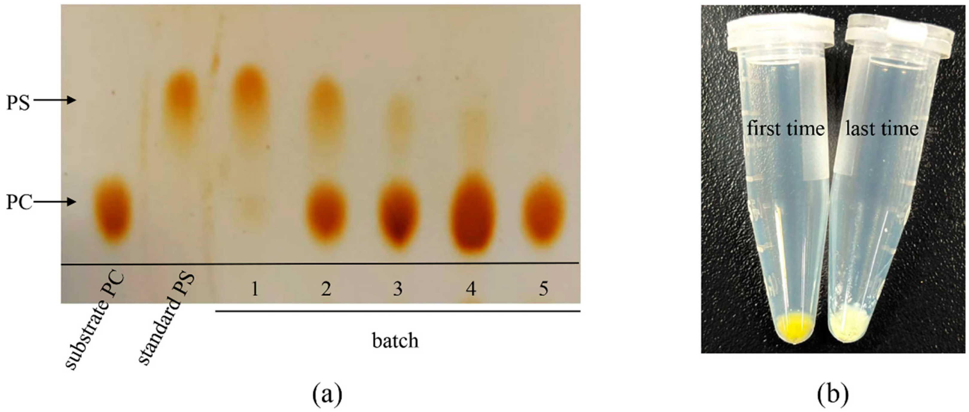Biomolecules 14 00430 g007 Biomolecules 14 00430 g007