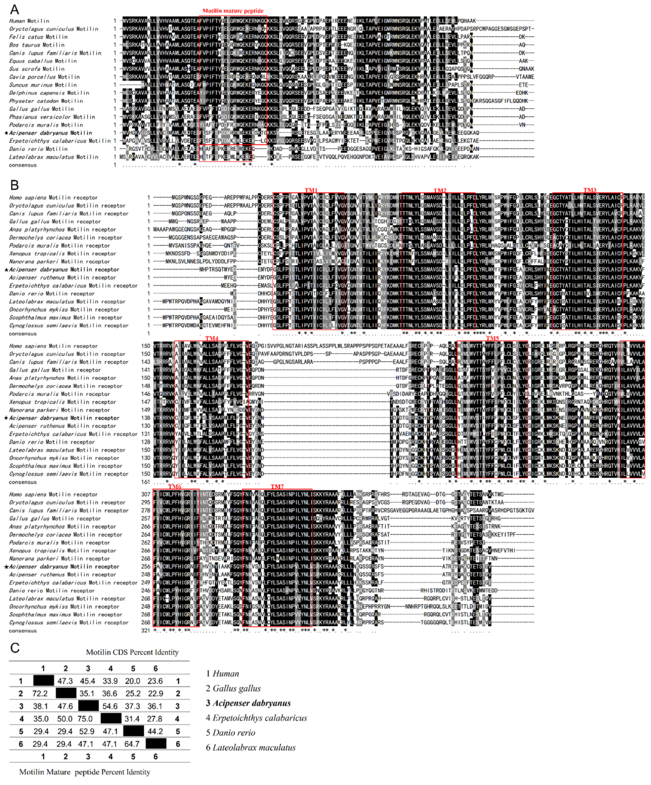 Biomolecules 14 00433 g002