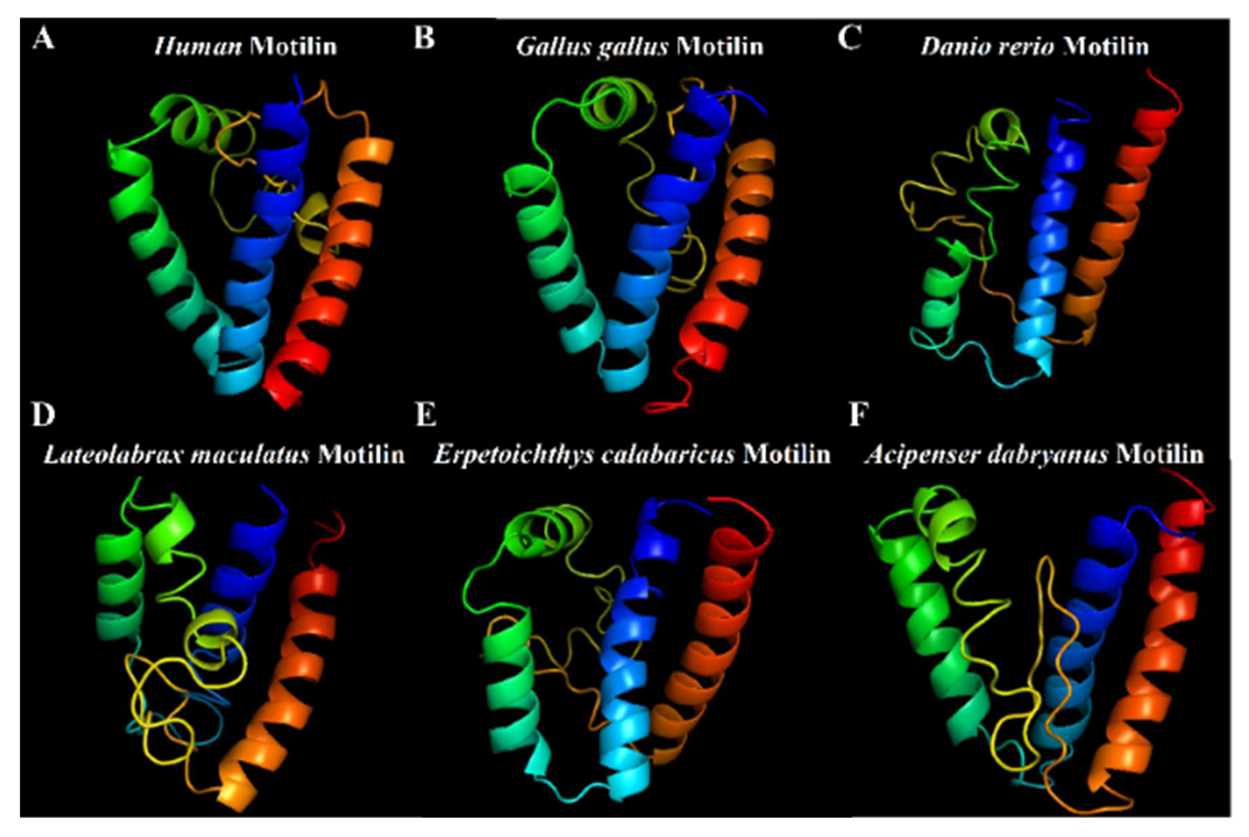 Biomolecules 14 00433 g003