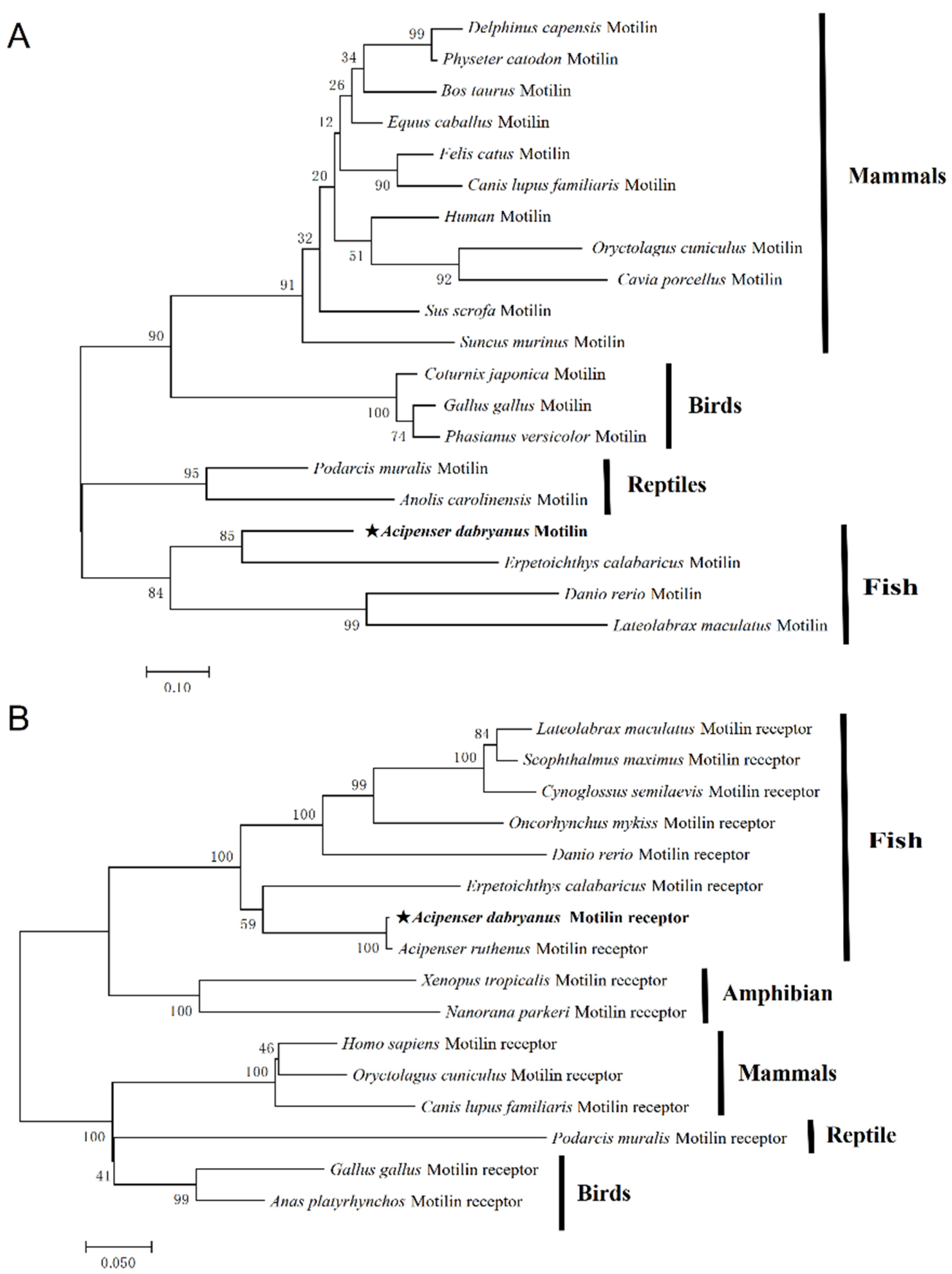 Biomolecules 14 00433 g004