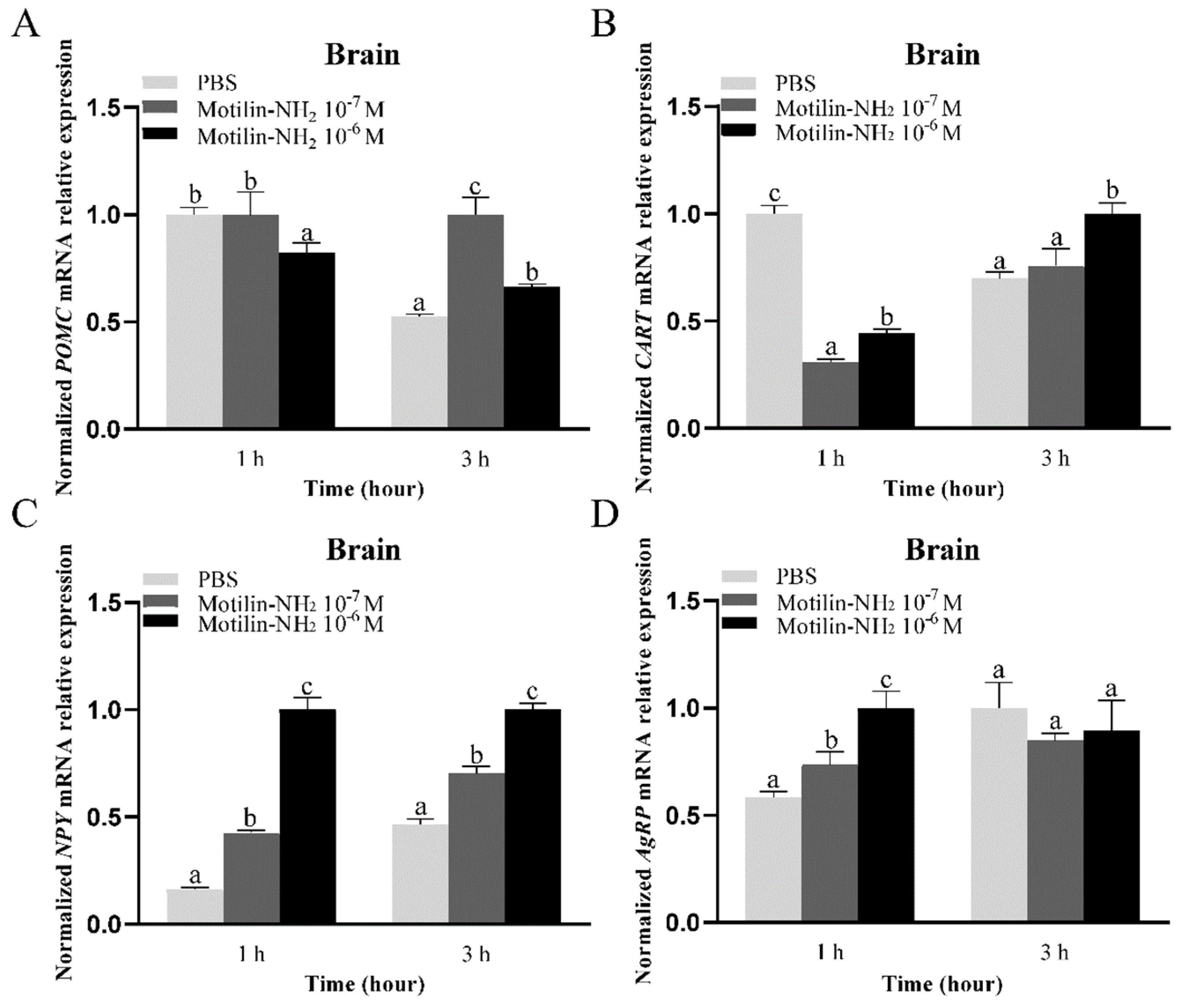 Biomolecules 14 00433 g011