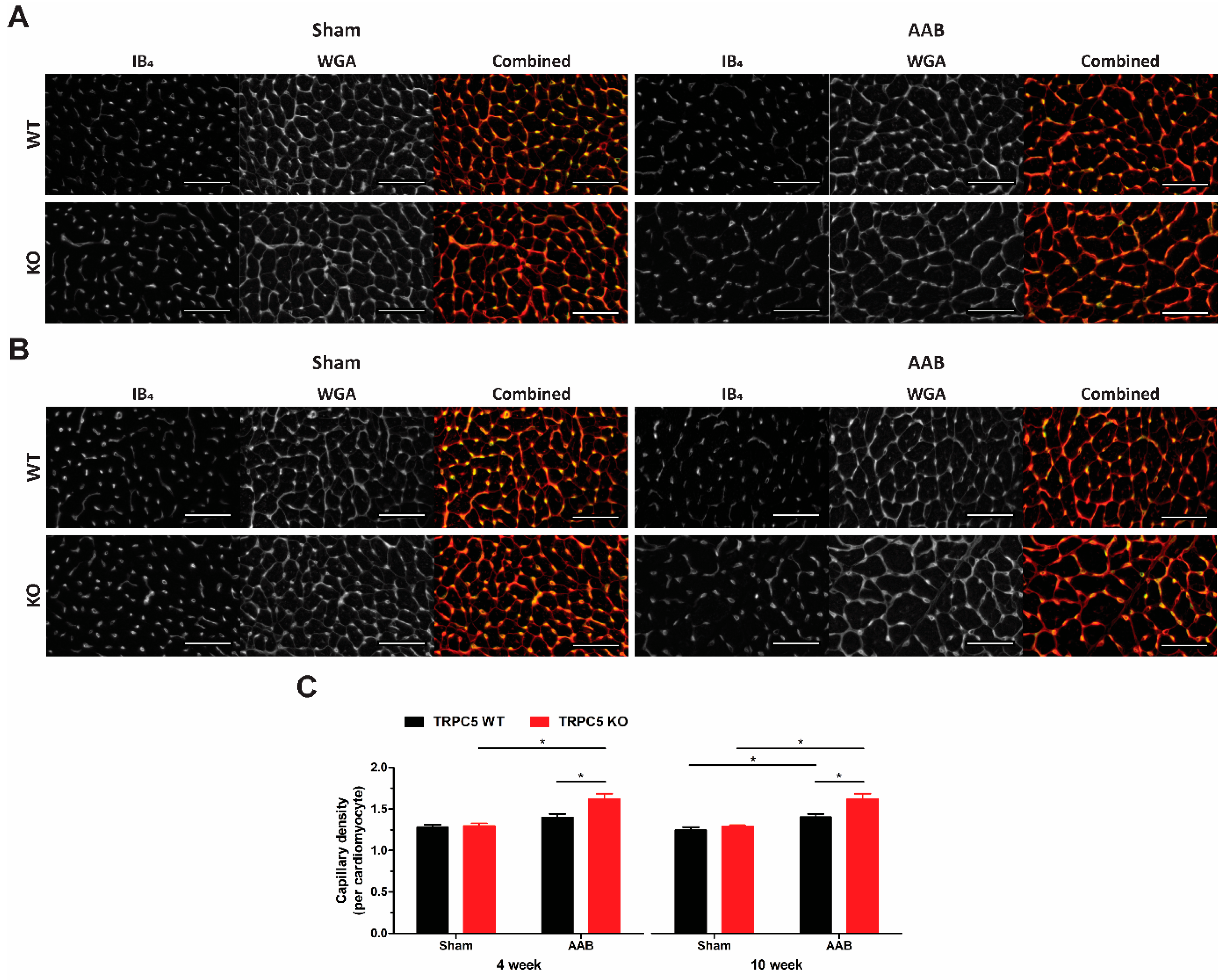 Biomolecules 14 00442 g006