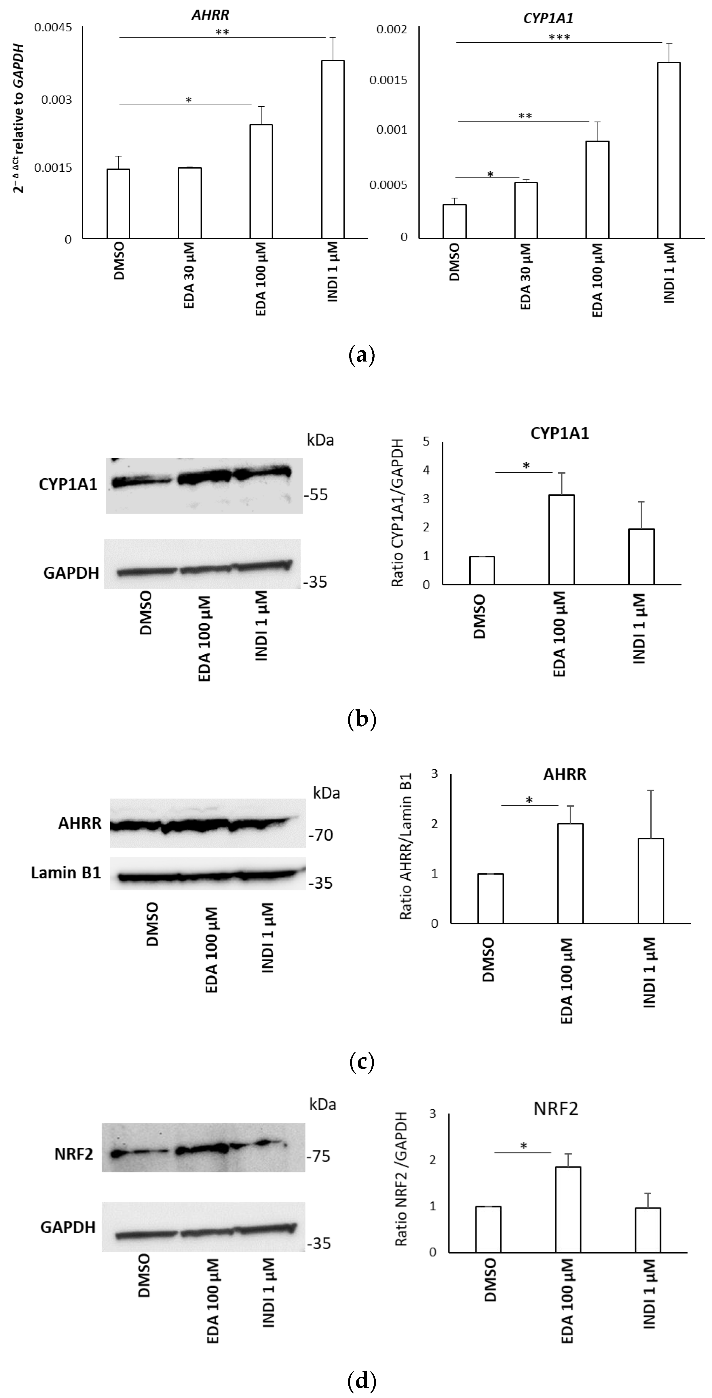 Biomolecules 14 00443 g005