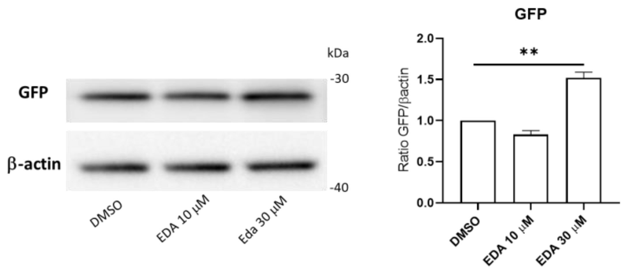 Biomolecules 14 00443 g007