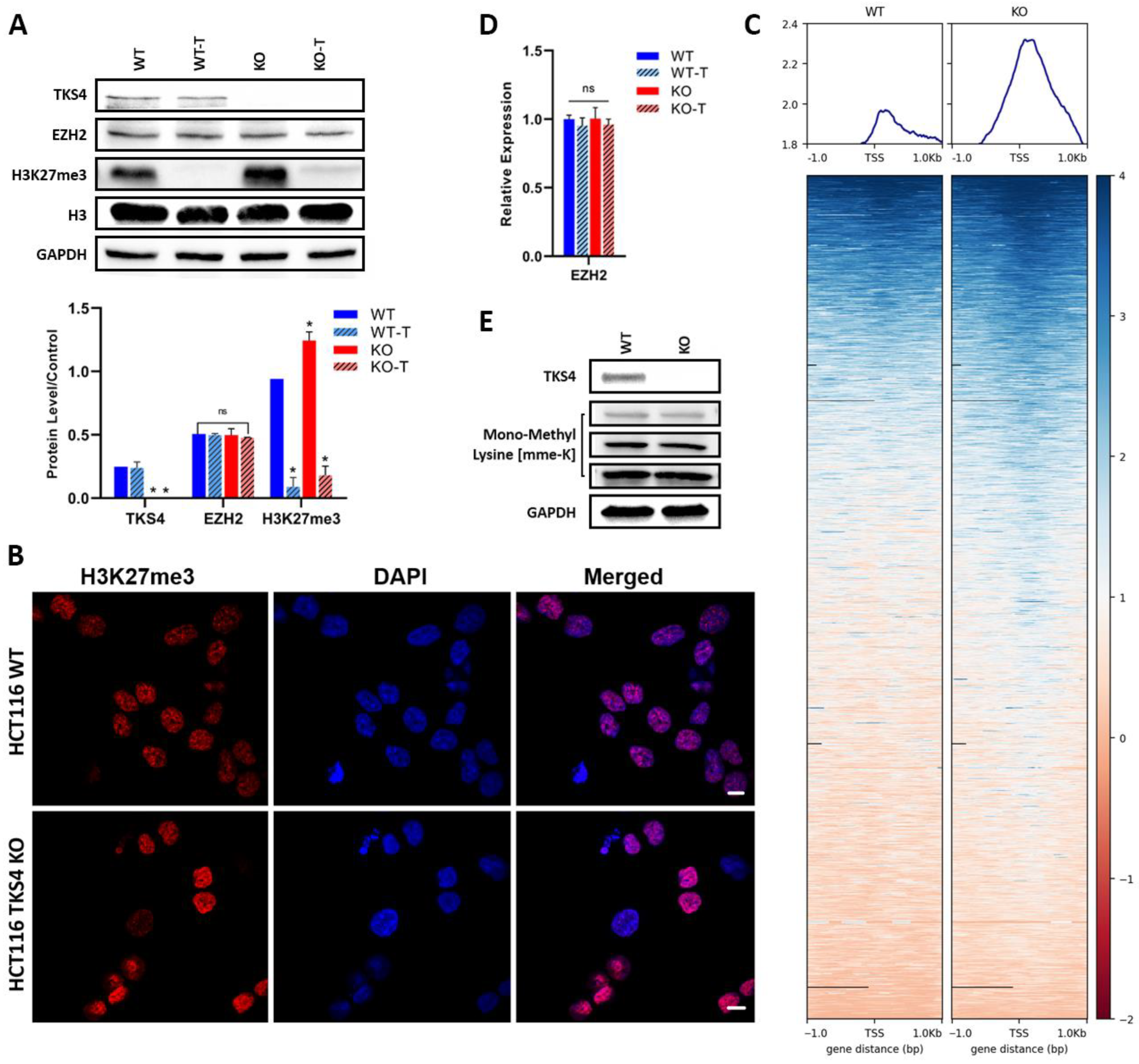 Biomolecules 14 00445 g001 Biomolecules 14 00445 g001
