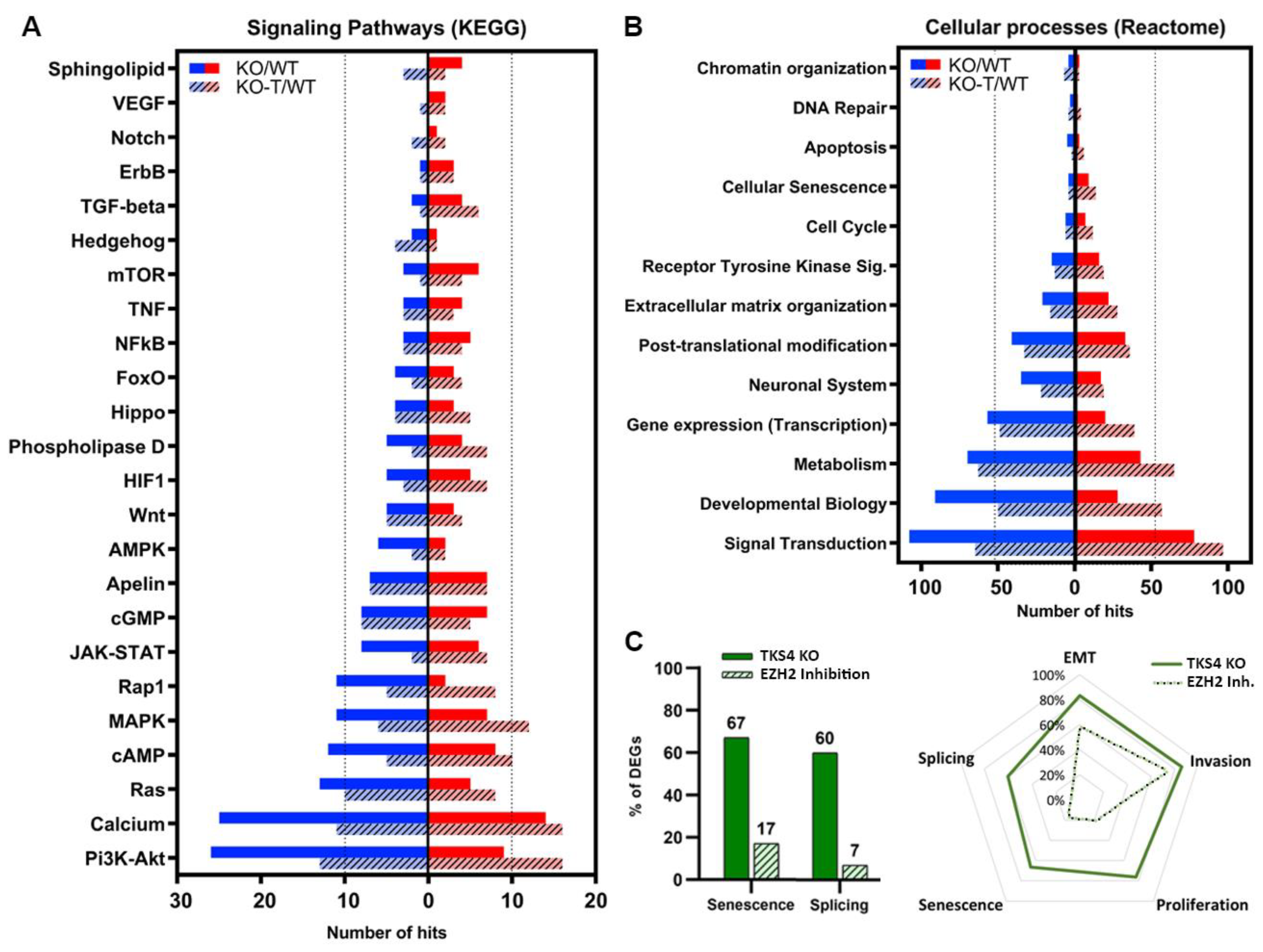 Biomolecules 14 00445 g006 Biomolecules 14 00445 g006