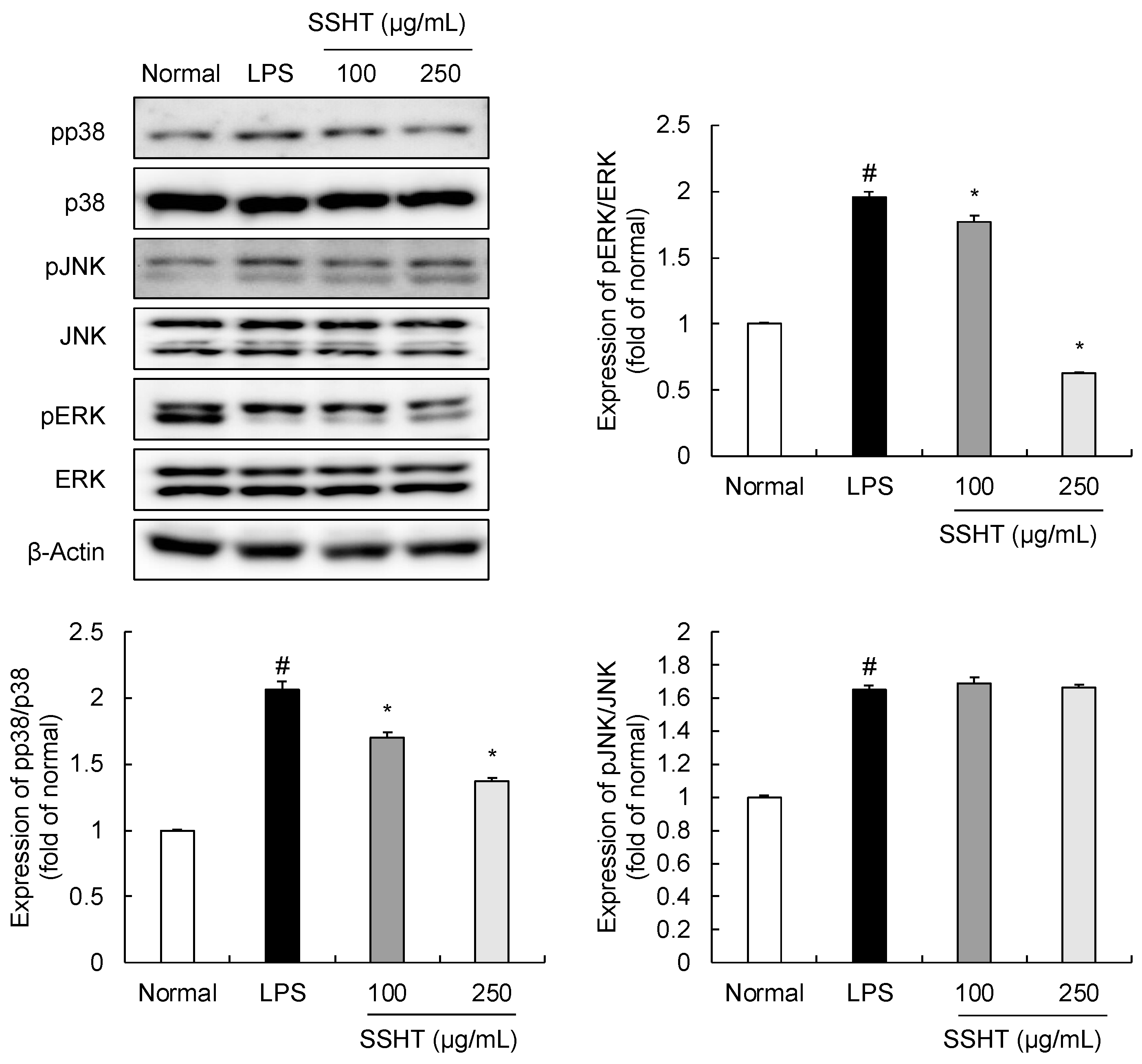 Biomolecules 14 00451 g004