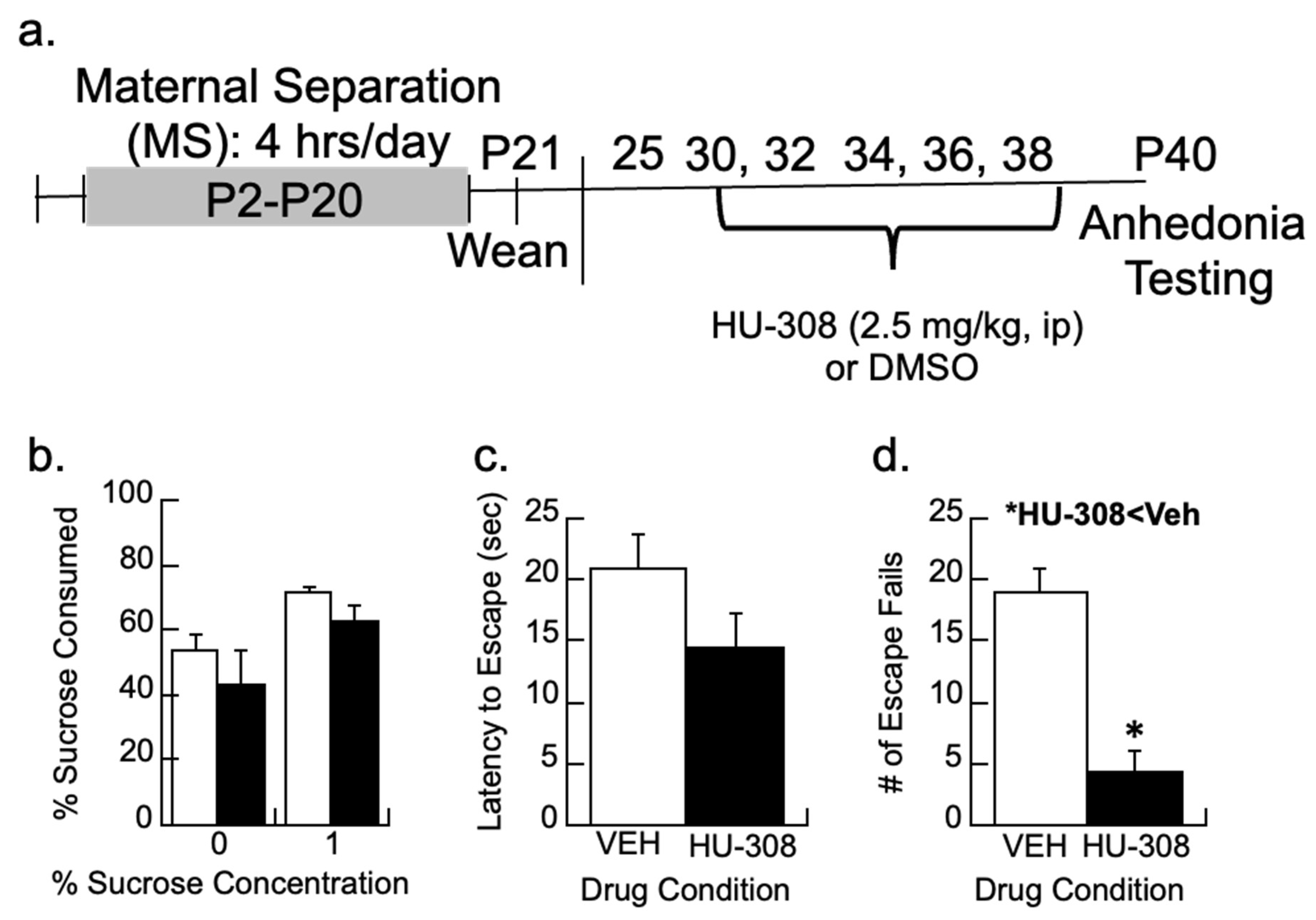Biomolecules 14 00464 g005 Biomolecules 14 00464 g005