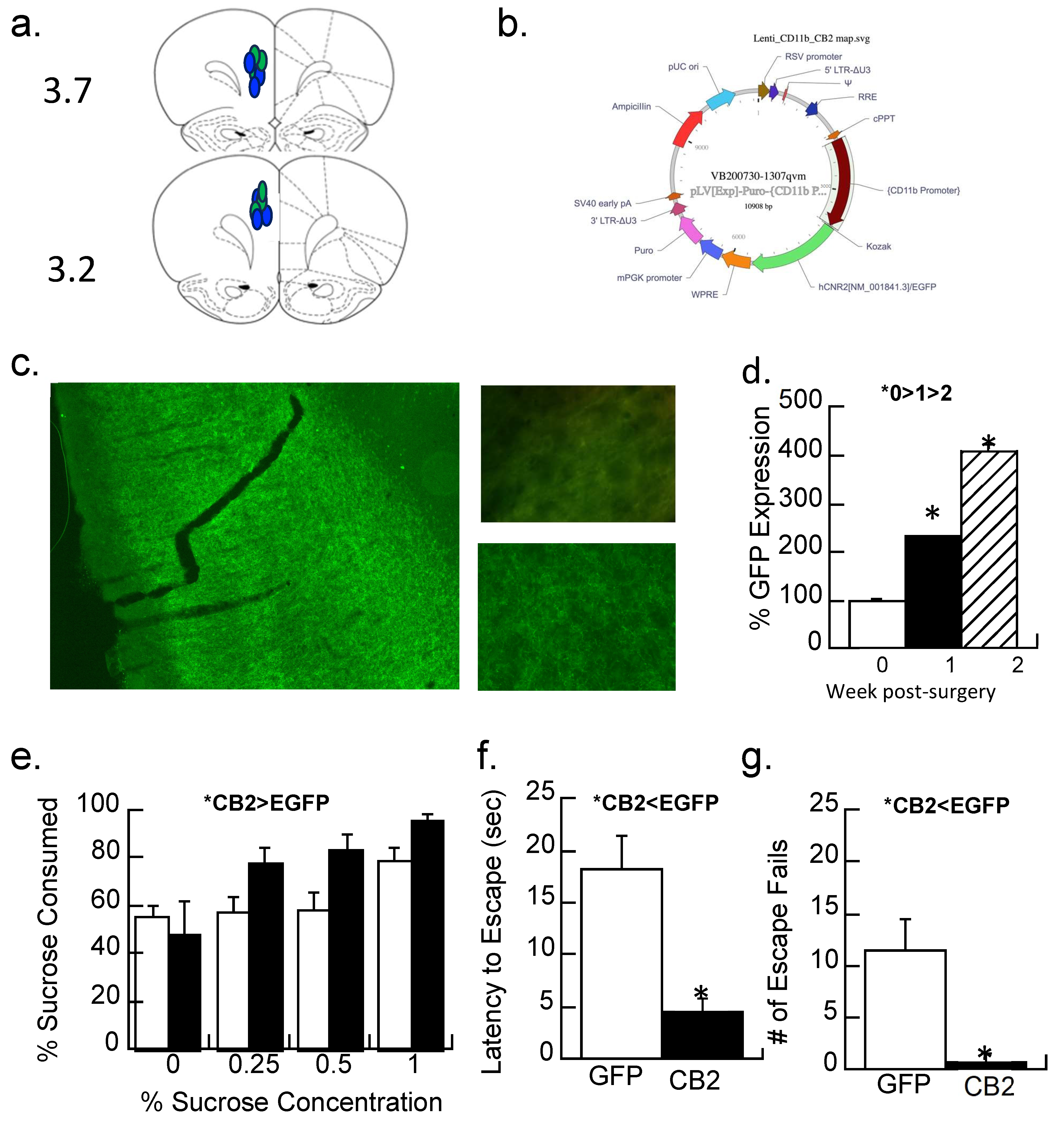 Biomolecules 14 00464 g006 Biomolecules 14 00464 g006
