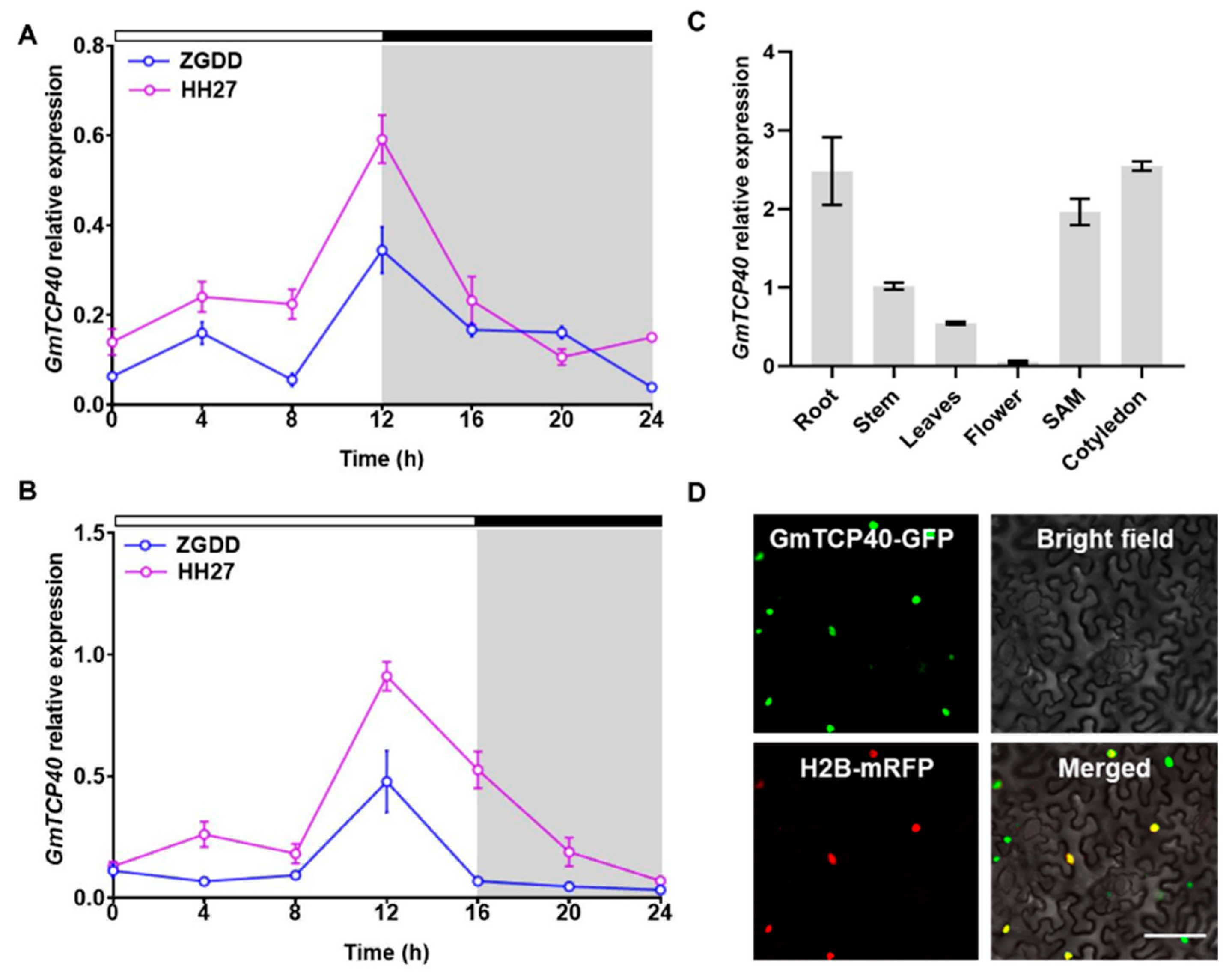 Biomolecules 14 00465 g001
