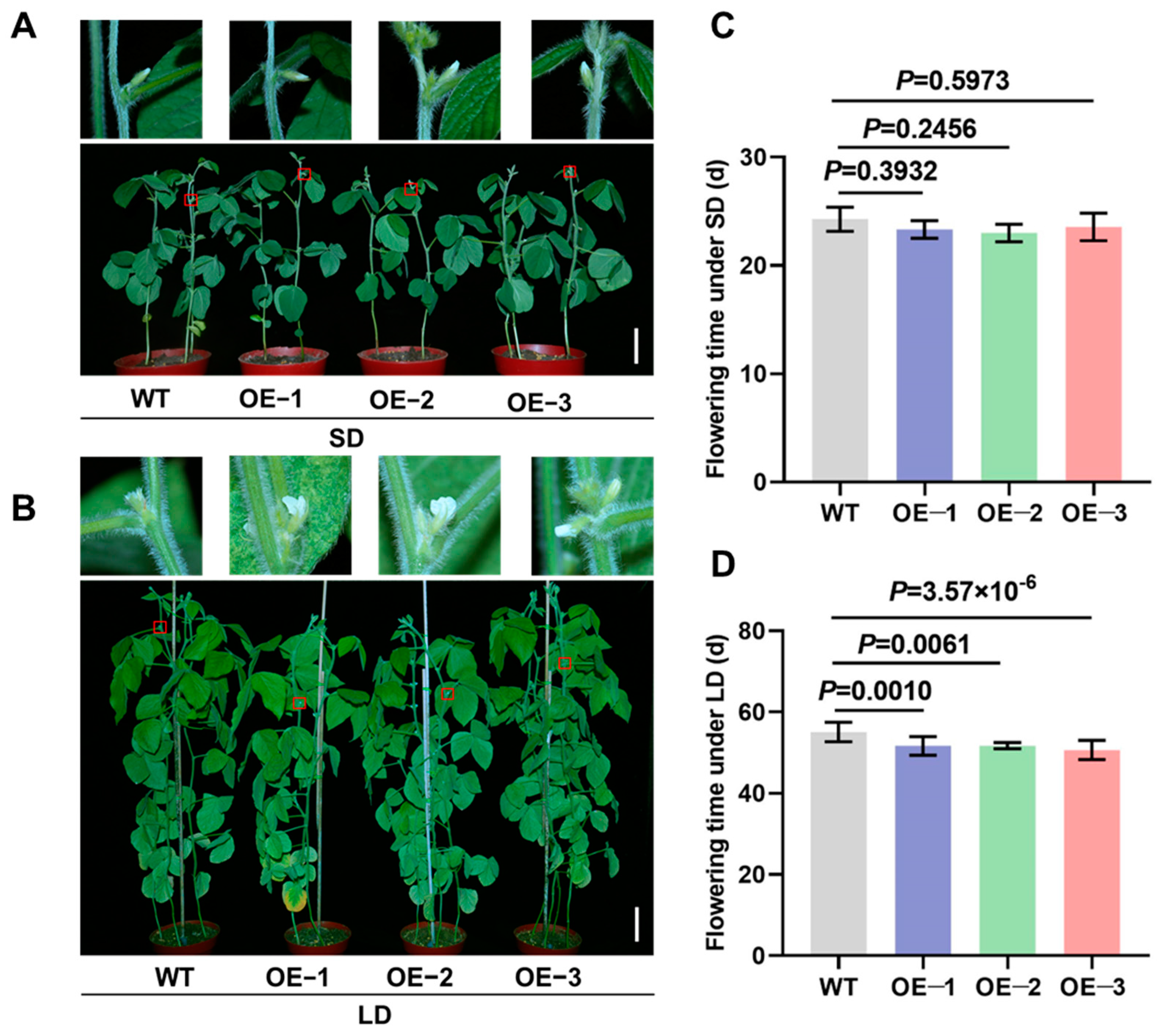 Biomolecules 14 00465 g002
