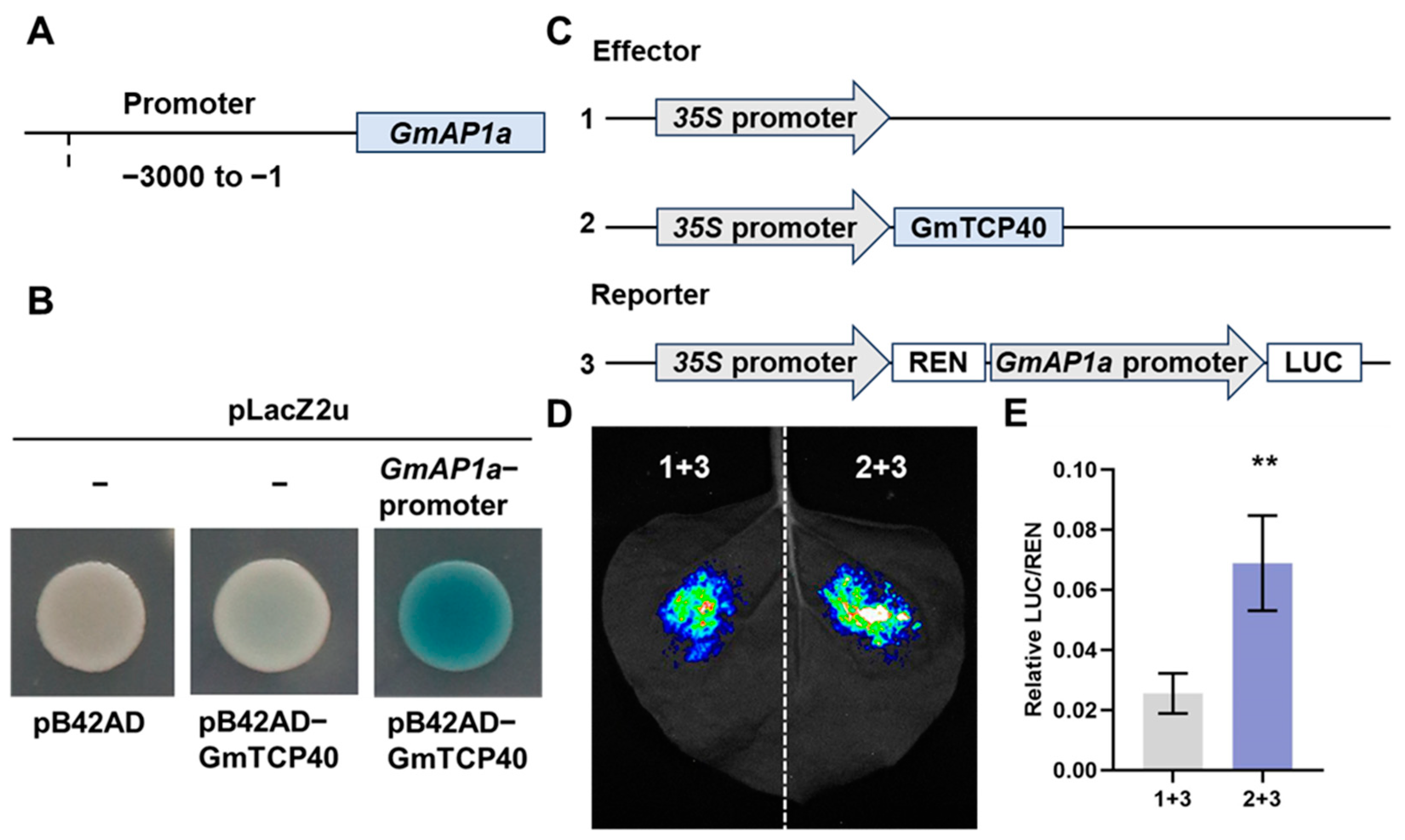 Biomolecules 14 00465 g004